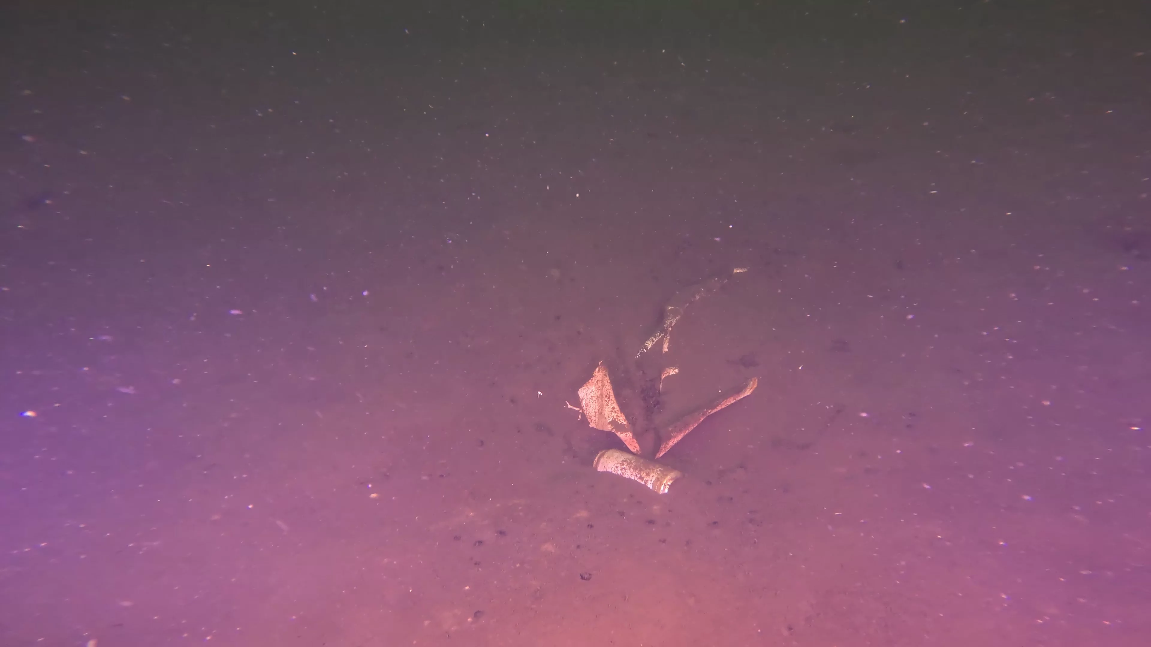 Barrel & Rope Debris (LU048), Lake Union, Seattle, WA — photo 1 of 21
