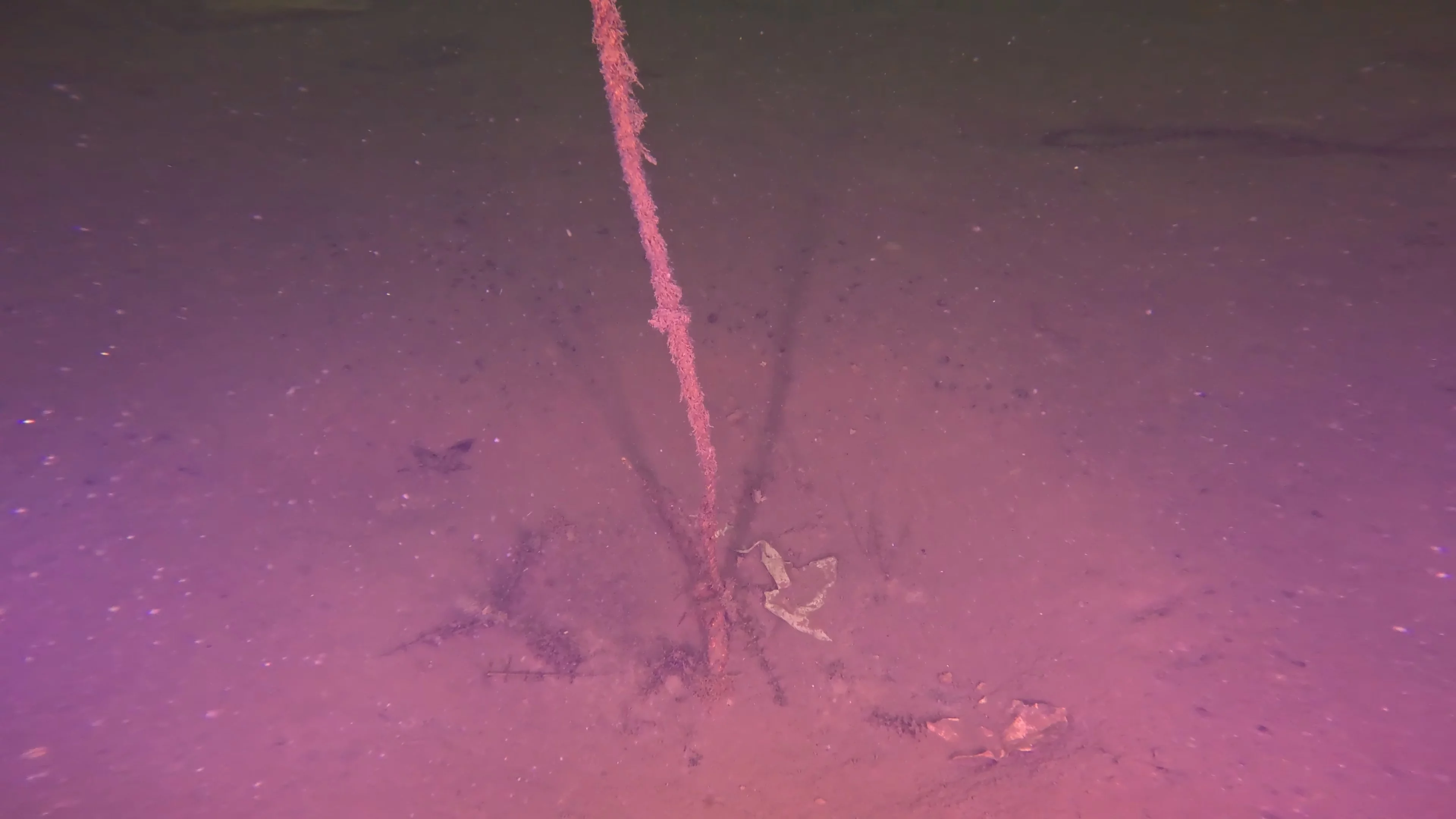 Barrel & Rope Debris (LU048), Lake Union, Seattle, WA — photo 4 of 21