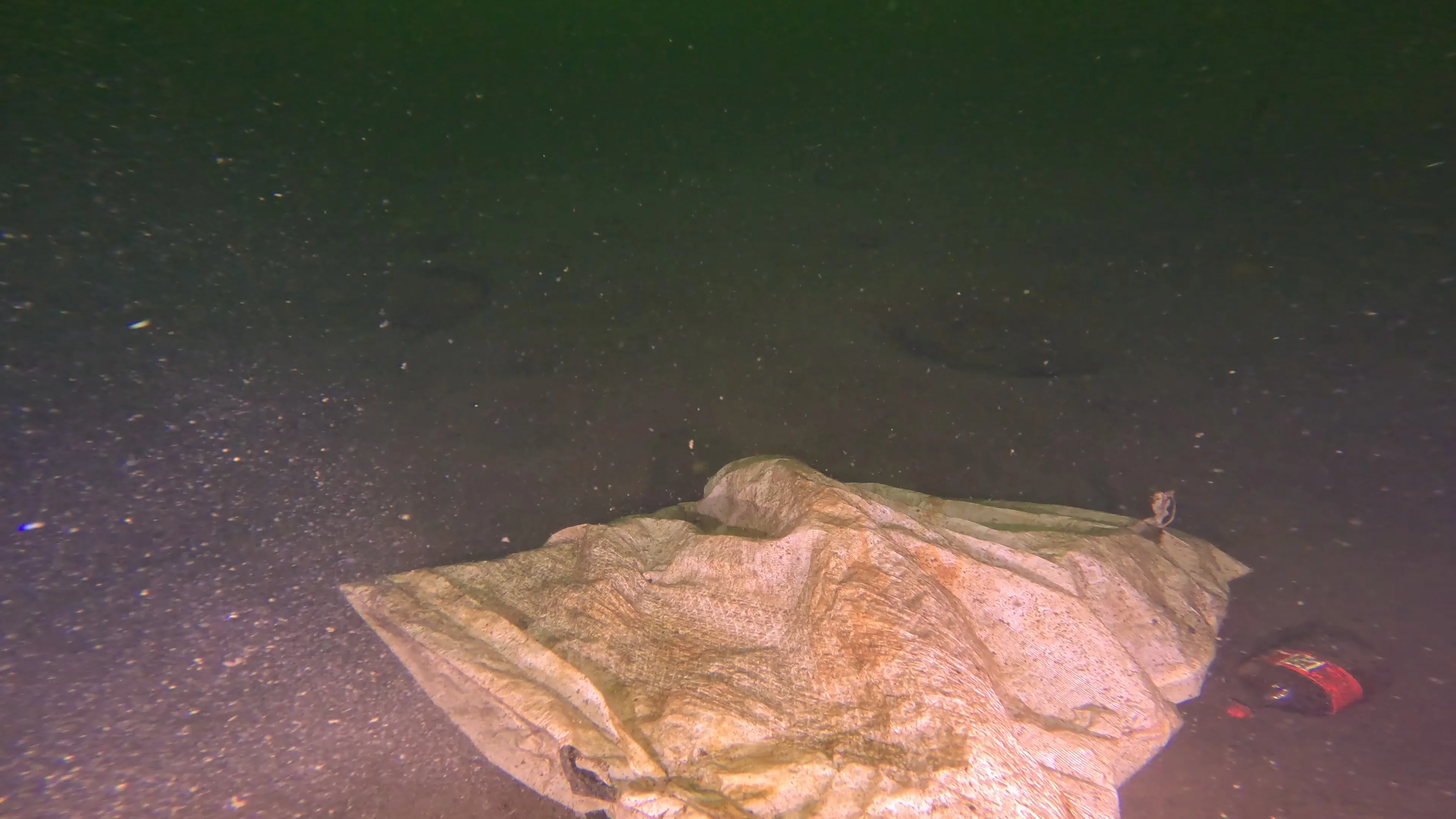 Barrel & Rope Debris (LU048), Lake Union, Seattle, WA — photo 6 of 21