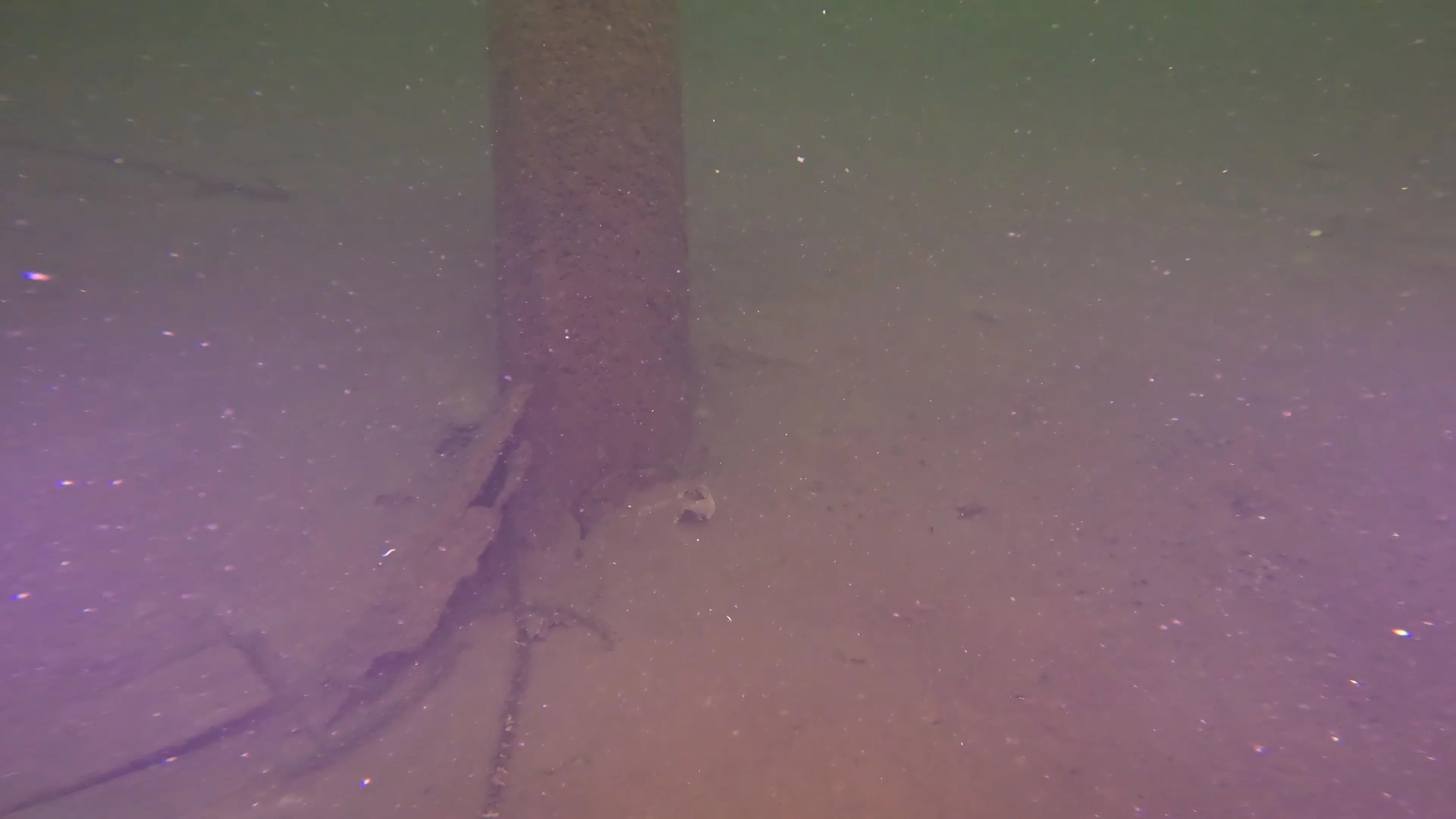 Wooden Pilings (LU053), Lake Union, Seattle, WA — photo 5 of 10