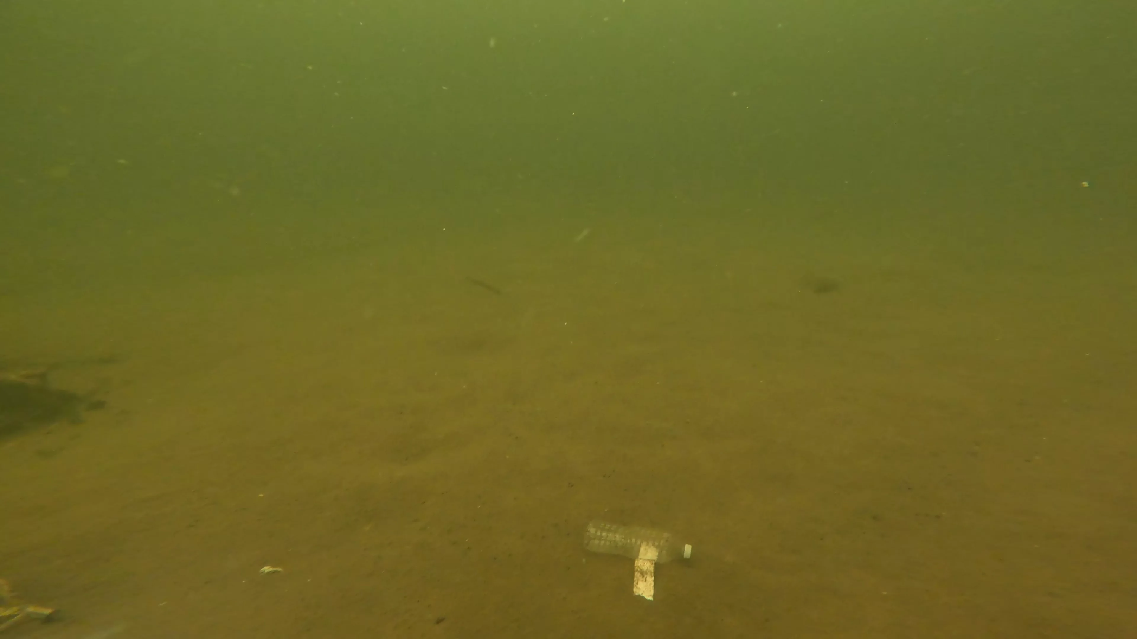 Scattered Wreck Debris (LU054), Lake Union, Seattle, WA — photo 1 of 8