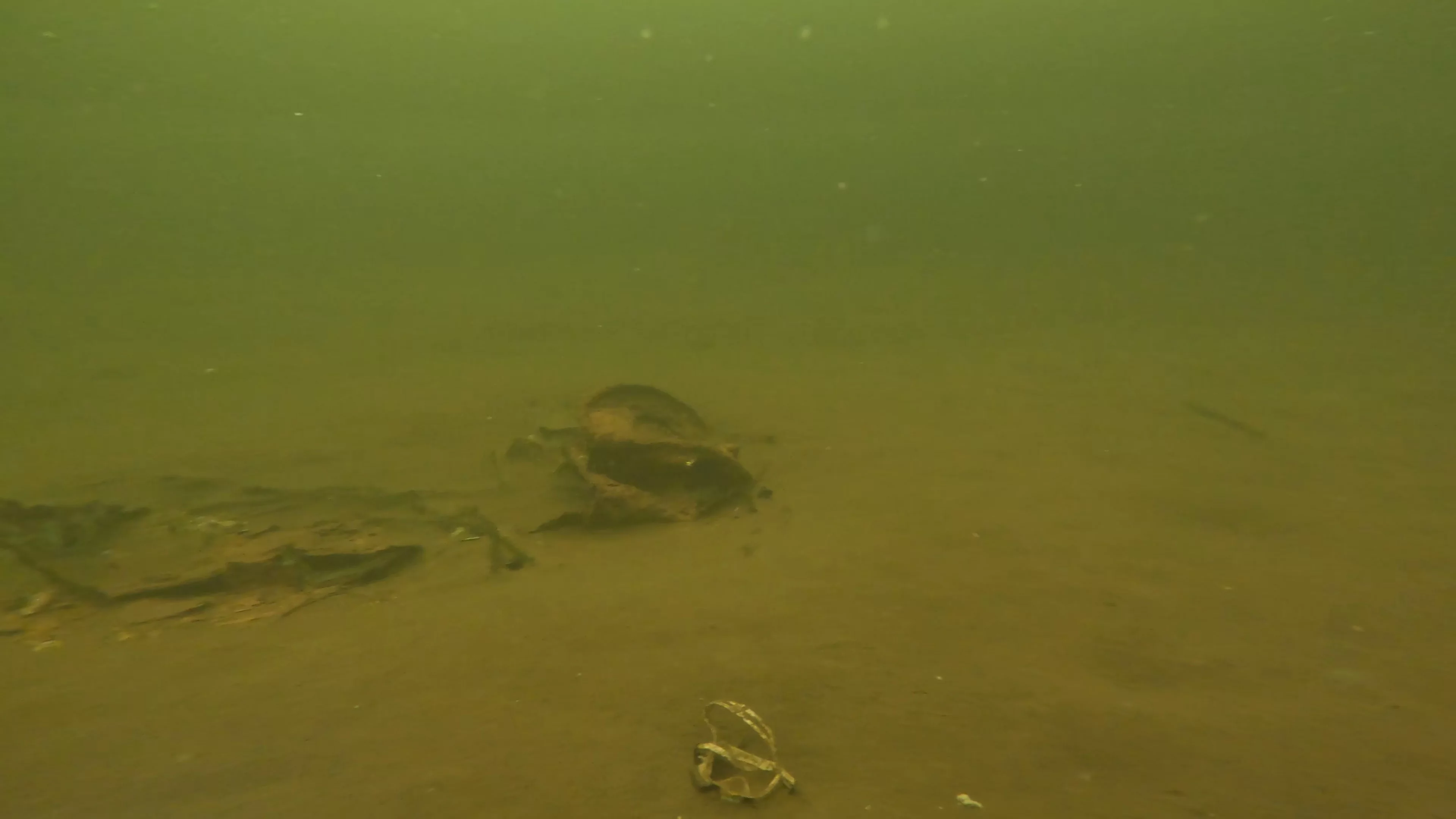 Scattered Wreck Debris (LU054), Lake Union, Seattle, WA — photo 2 of 8