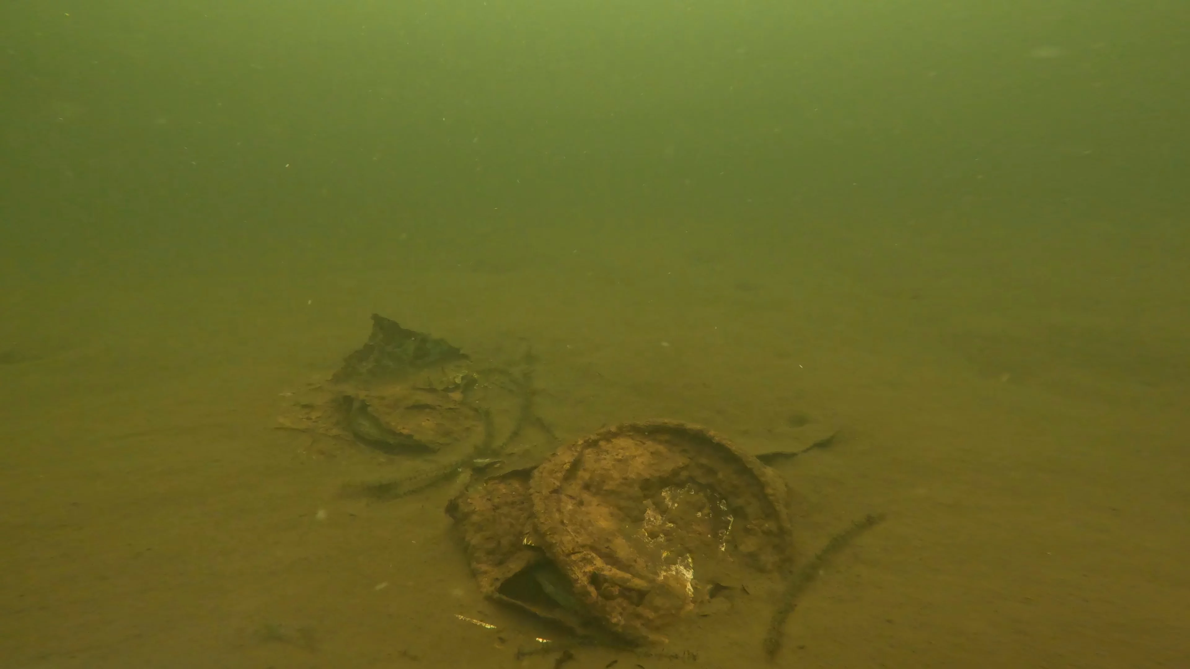 Scattered Wreck Debris (LU054), Lake Union, Seattle, WA — photo 3 of 8
