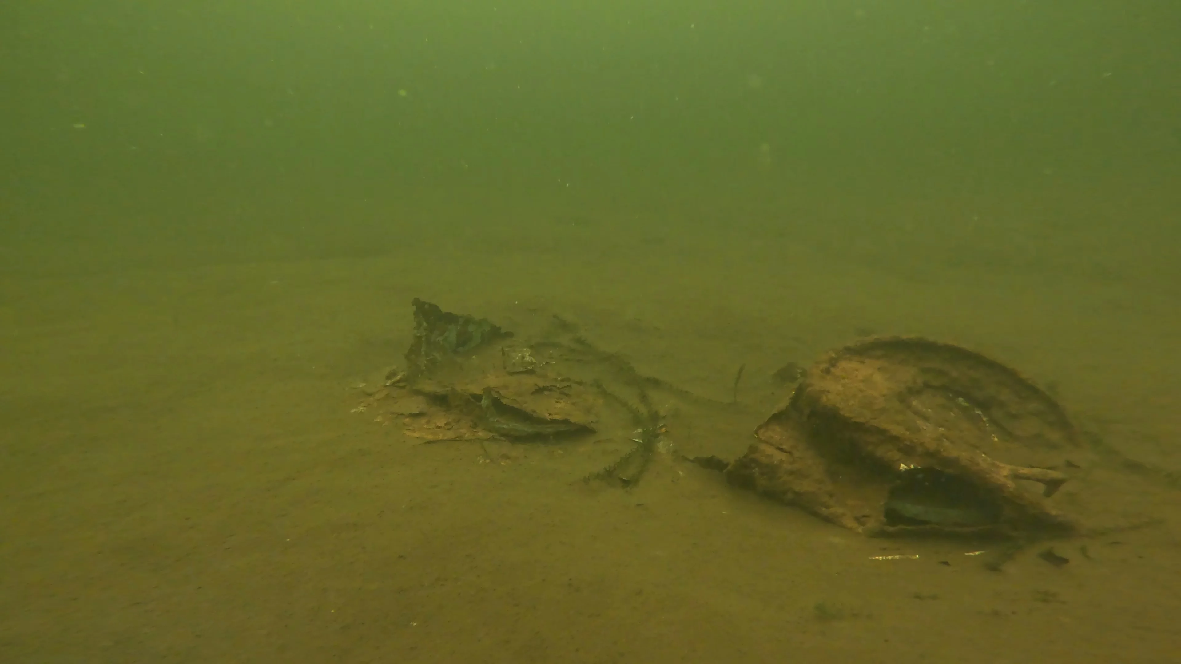 Scattered Wreck Debris (LU054), Lake Union, Seattle, WA — photo 4 of 8