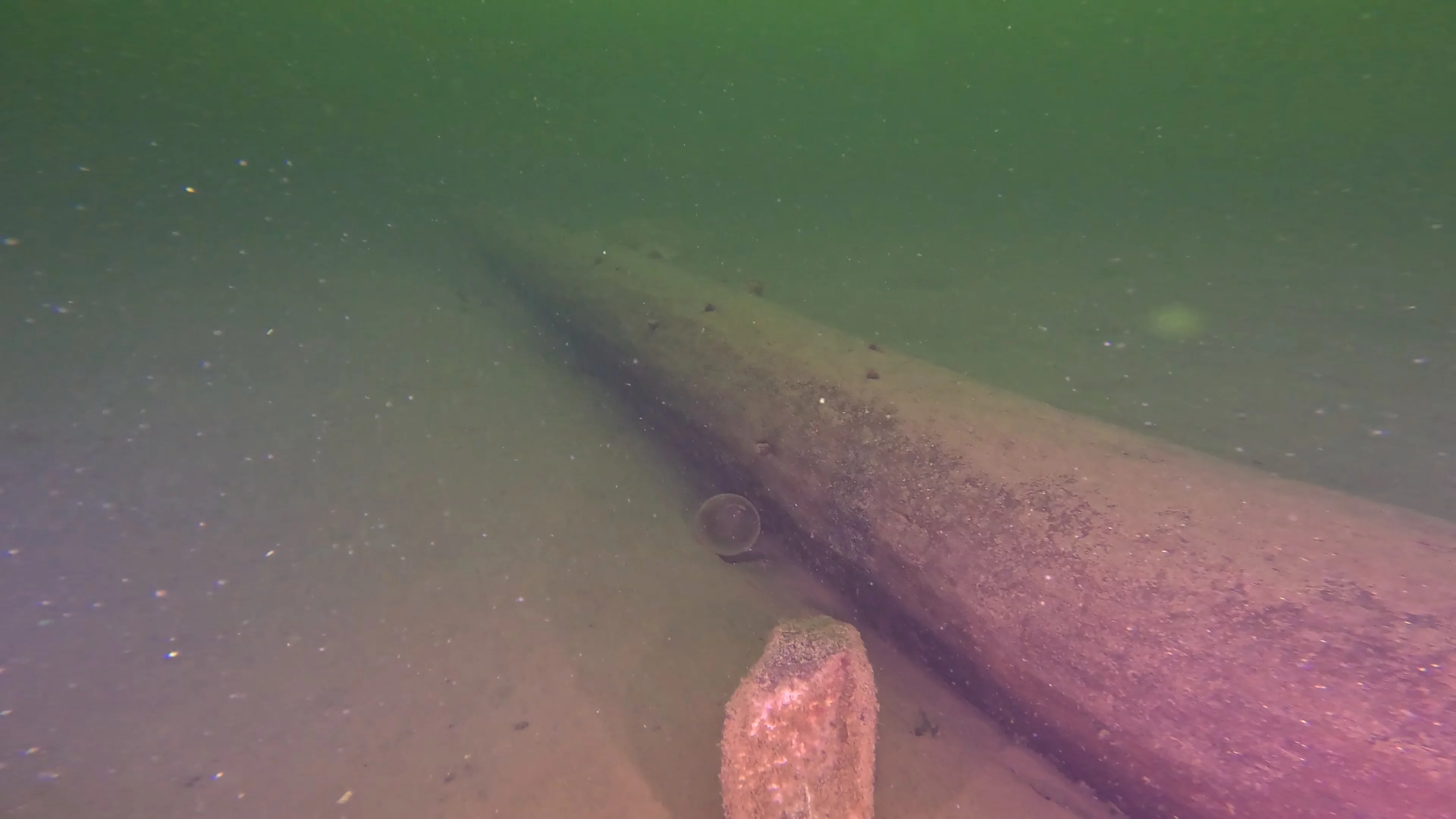 Scattered Wreck Debris (LU054), Lake Union, Seattle, WA — photo 5 of 8