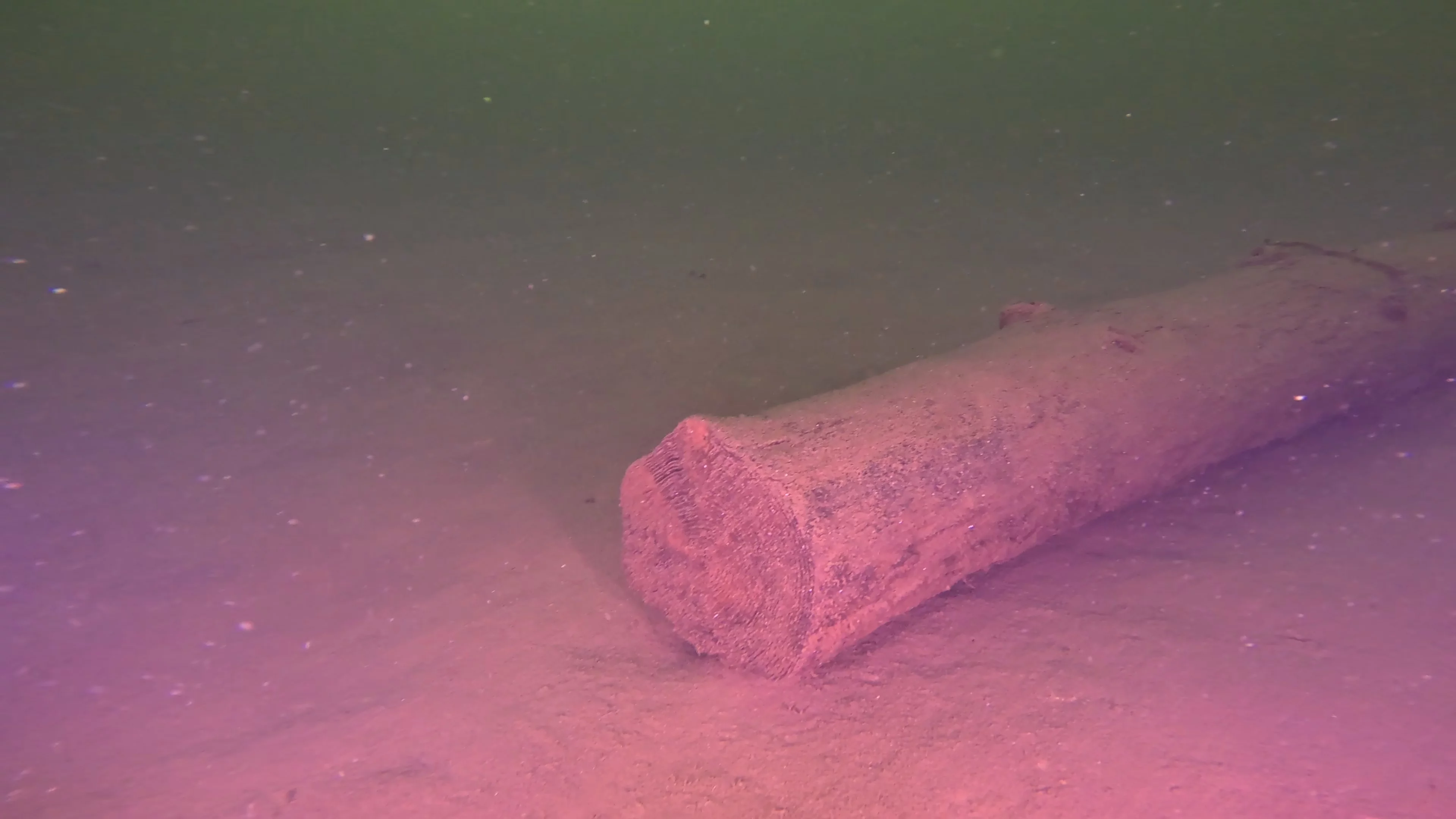 Scattered Wreck Debris (LU054), Lake Union, Seattle, WA — photo 6 of 8