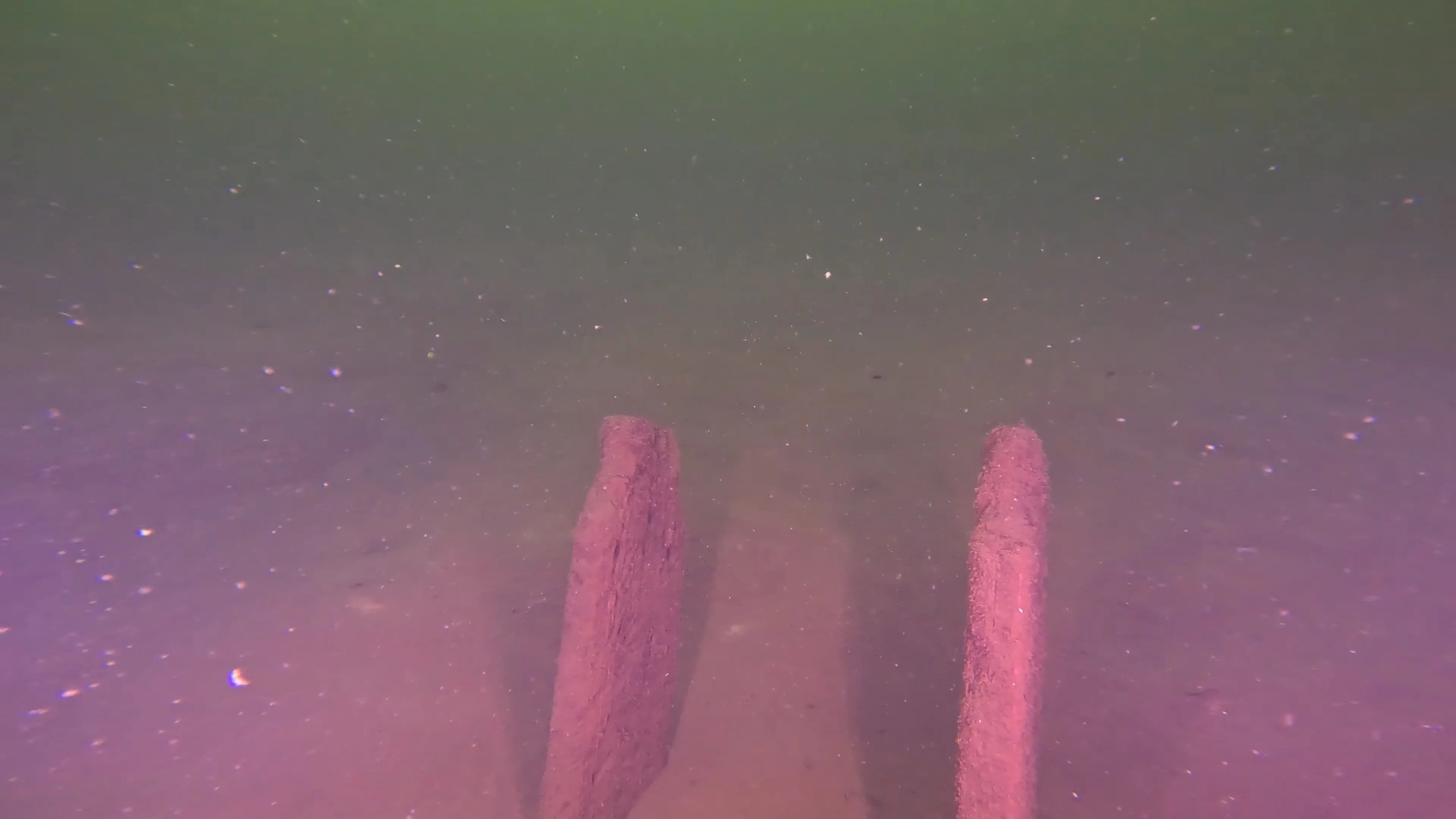 Scattered Wreck Debris (LU054), Lake Union, Seattle, WA — photo 7 of 8