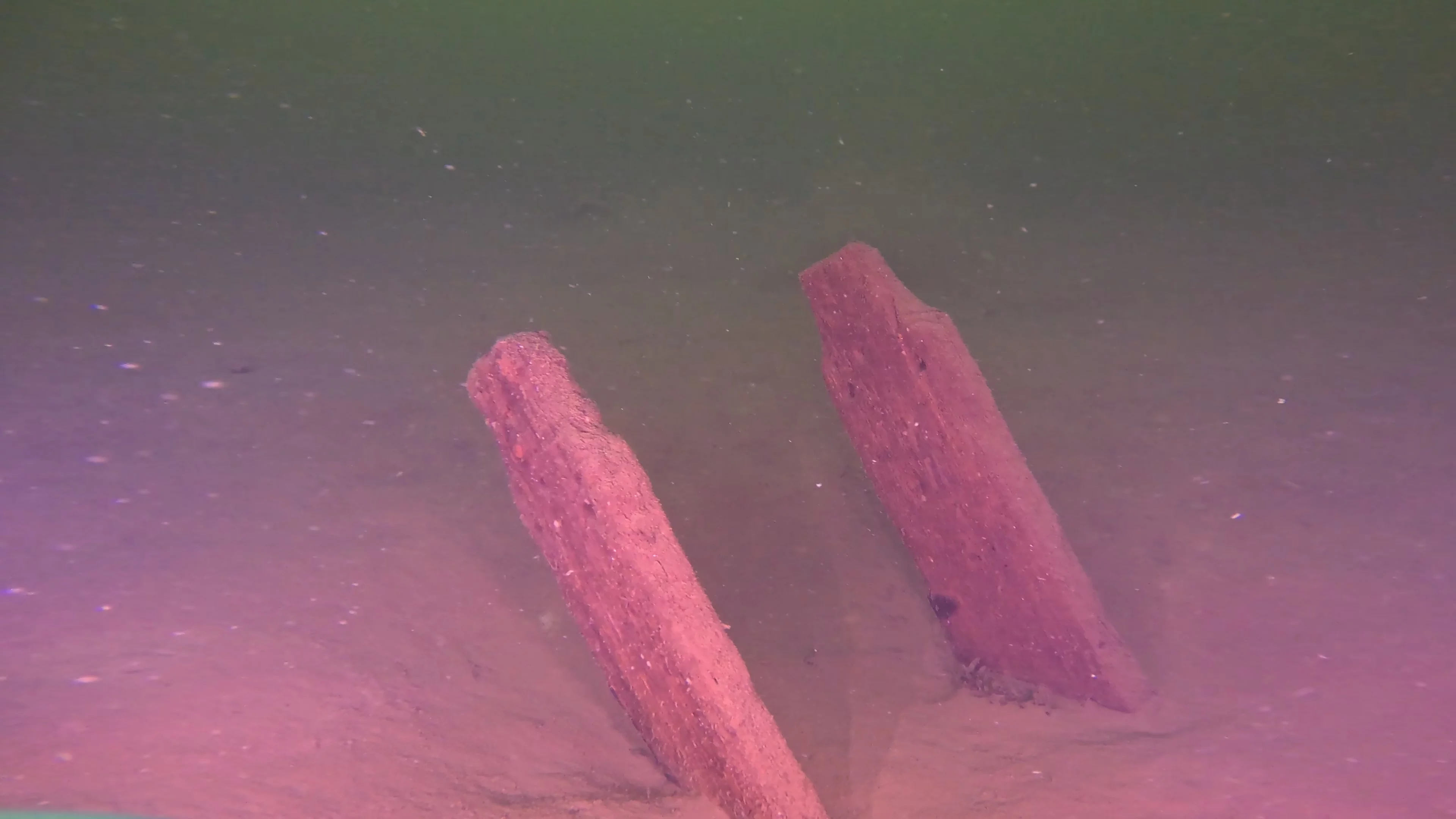 Scattered Wreck Debris (LU054), Lake Union, Seattle, WA — photo 8 of 8