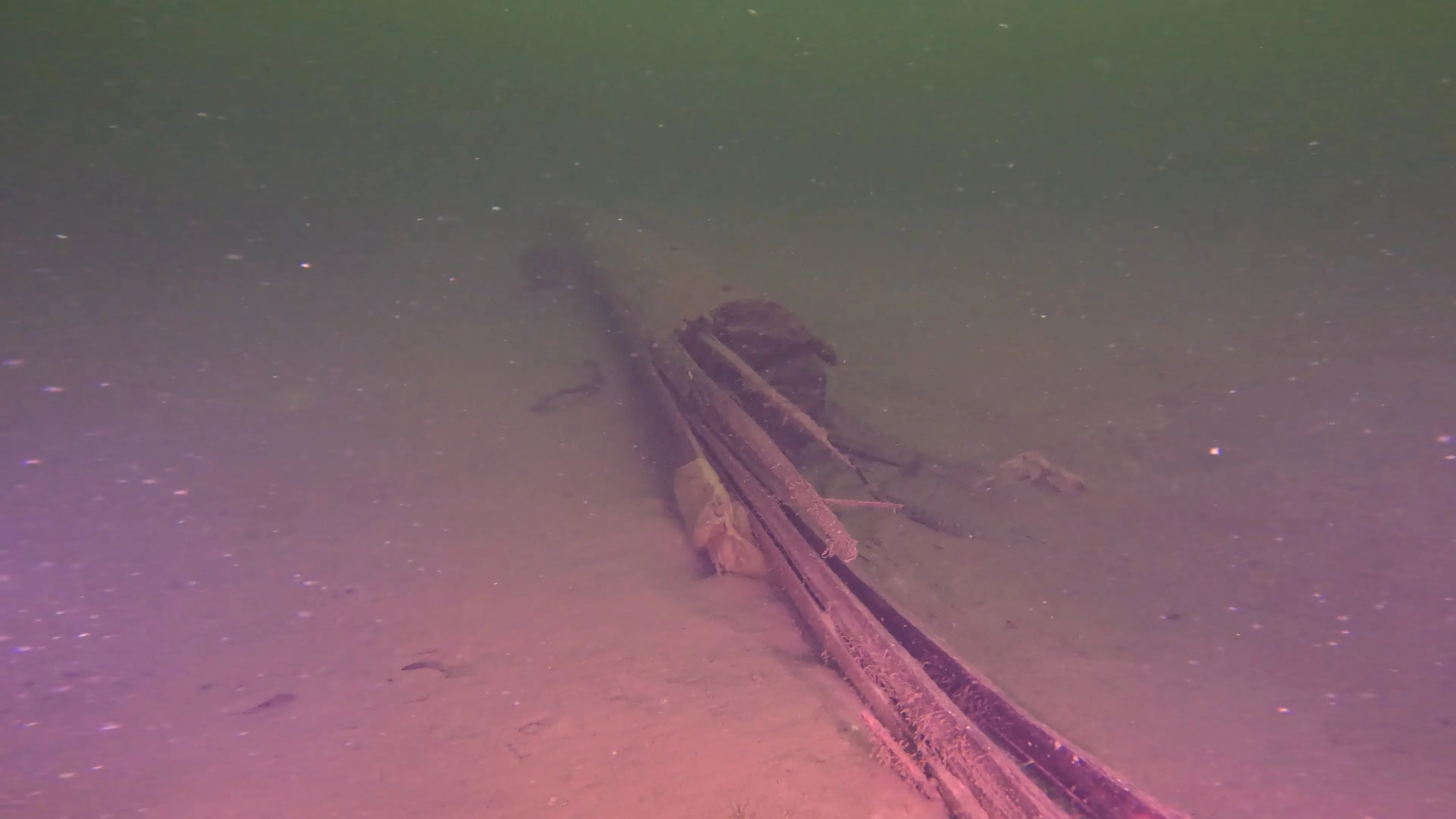 Scattered Wreck Debris (LU054), Lake Union, Seattle, WA — main photo