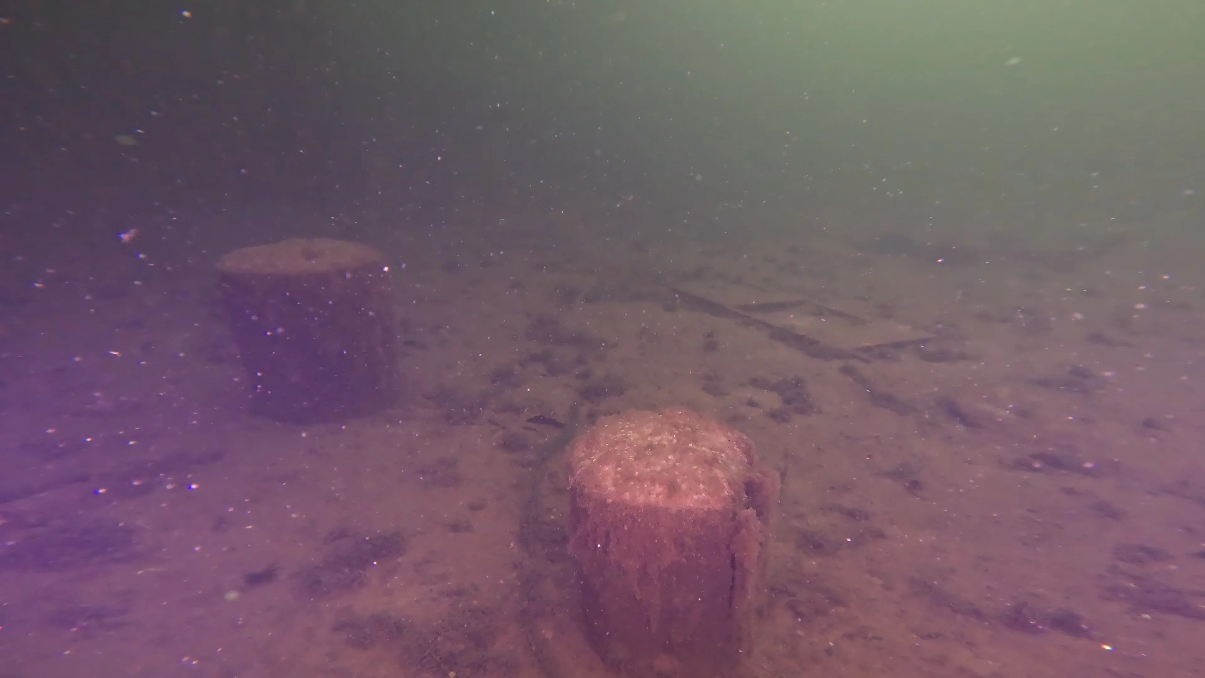 Sunken E-Bike at Harley Site (LU066), Lake Union, Seattle, WA — photo 4 of 6