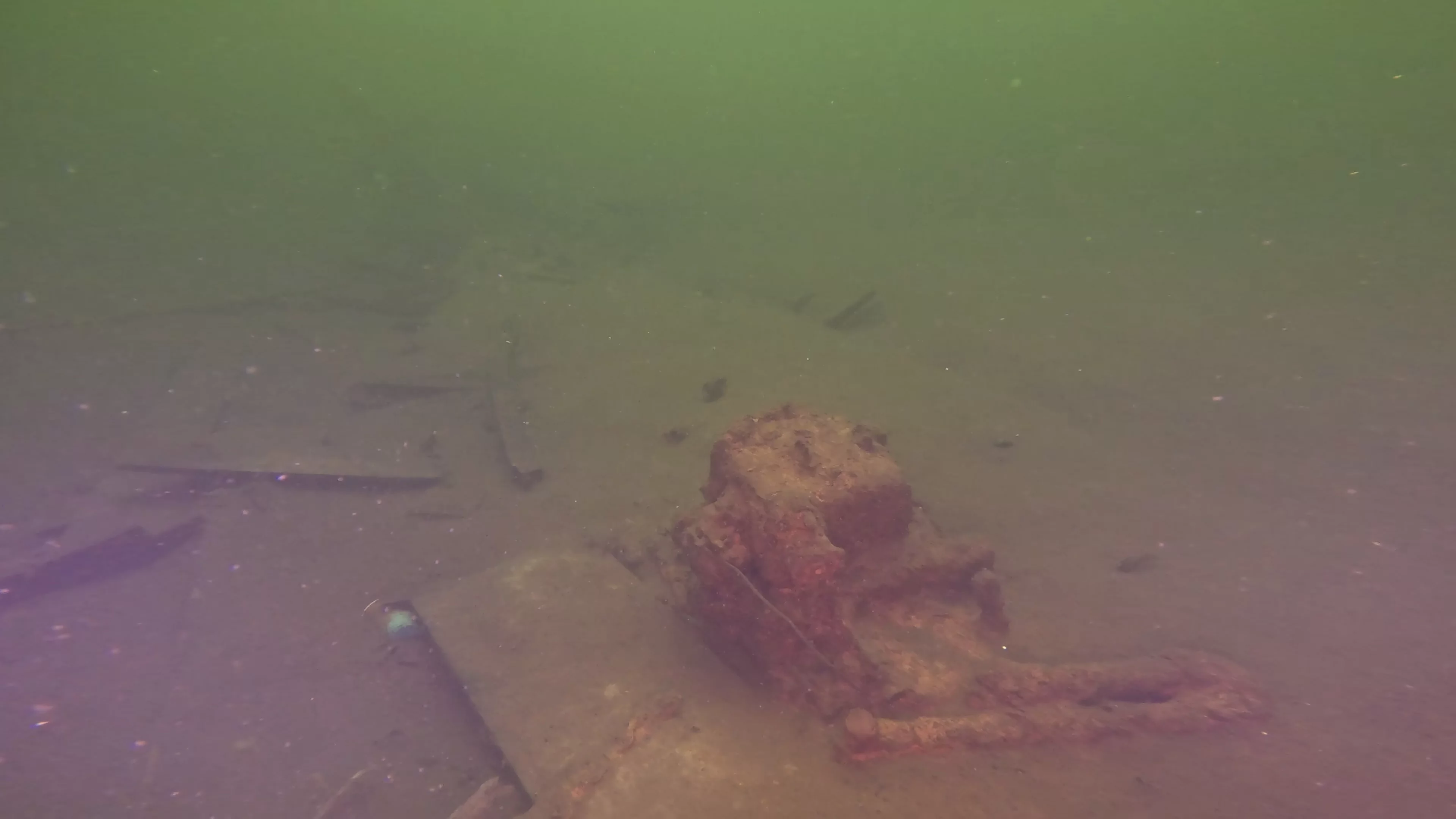 28' Collapsed Wooden Boat Wreck (LU069), Lake Union, Seattle, WA — photo 7 of 29