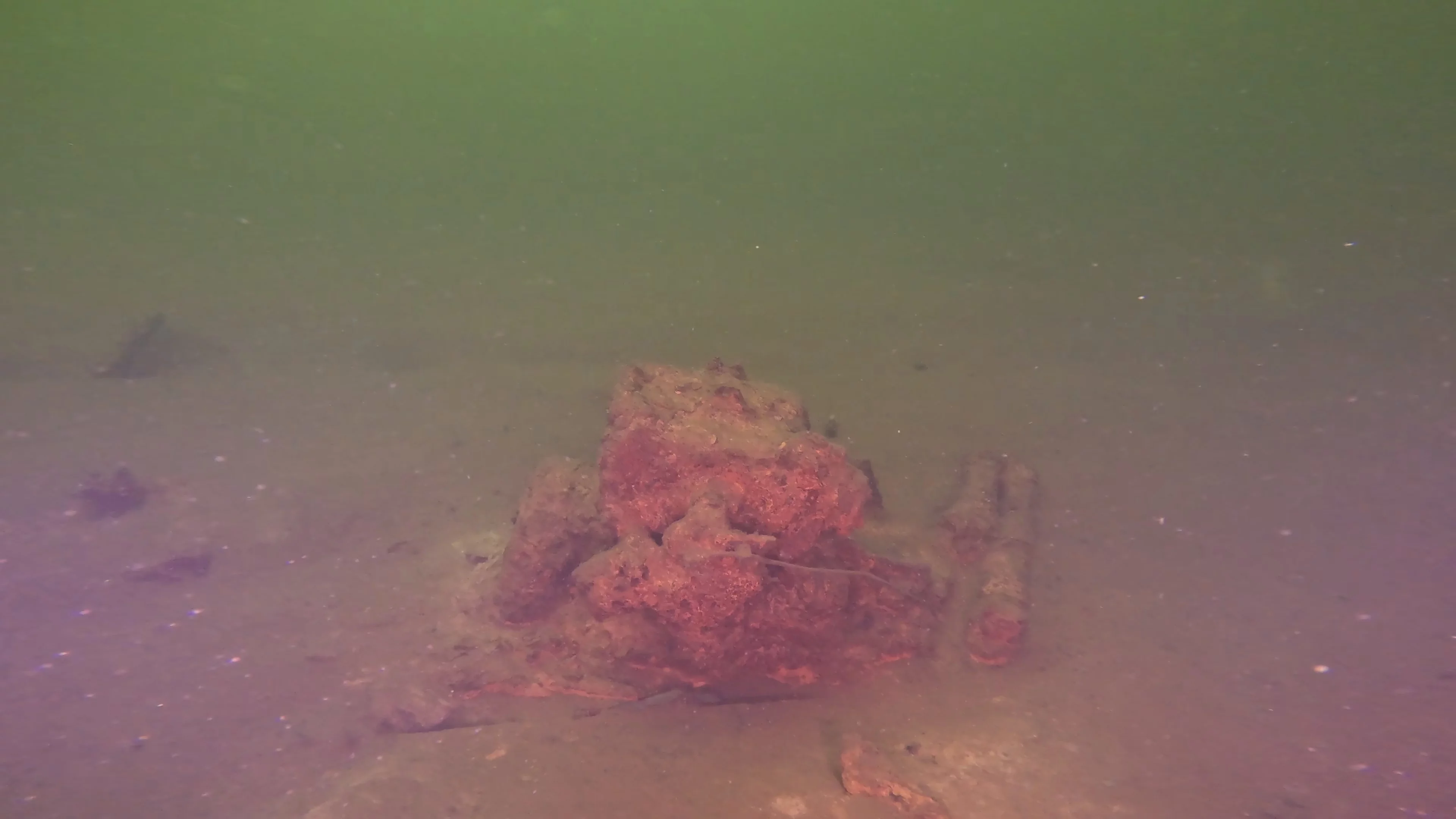 28' Collapsed Wooden Boat Wreck (LU069), Lake Union, Seattle, WA — photo 8 of 29