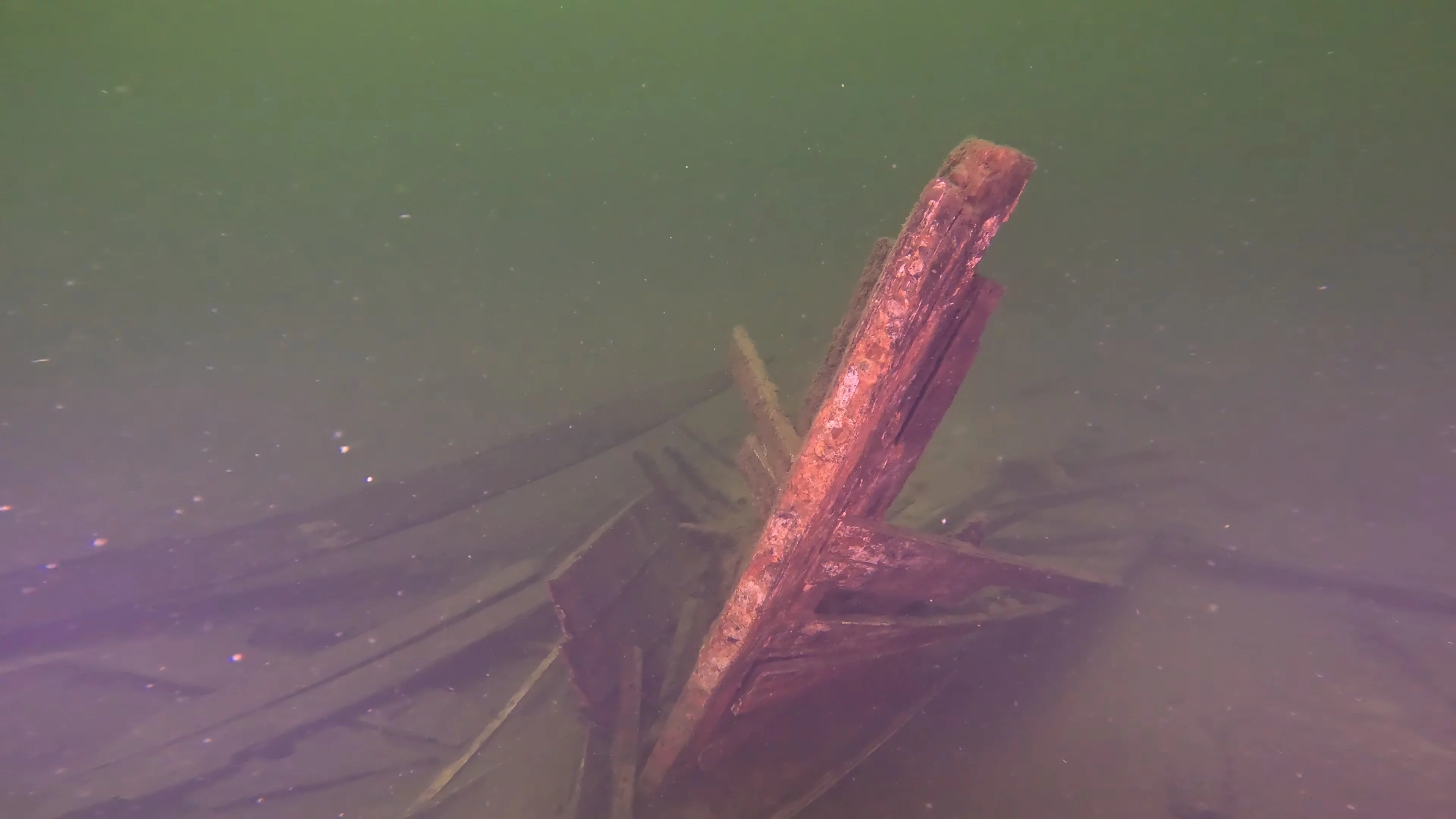28' Collapsed Wooden Boat Wreck (LU069), Lake Union, Seattle, WA — photo 11 of 29