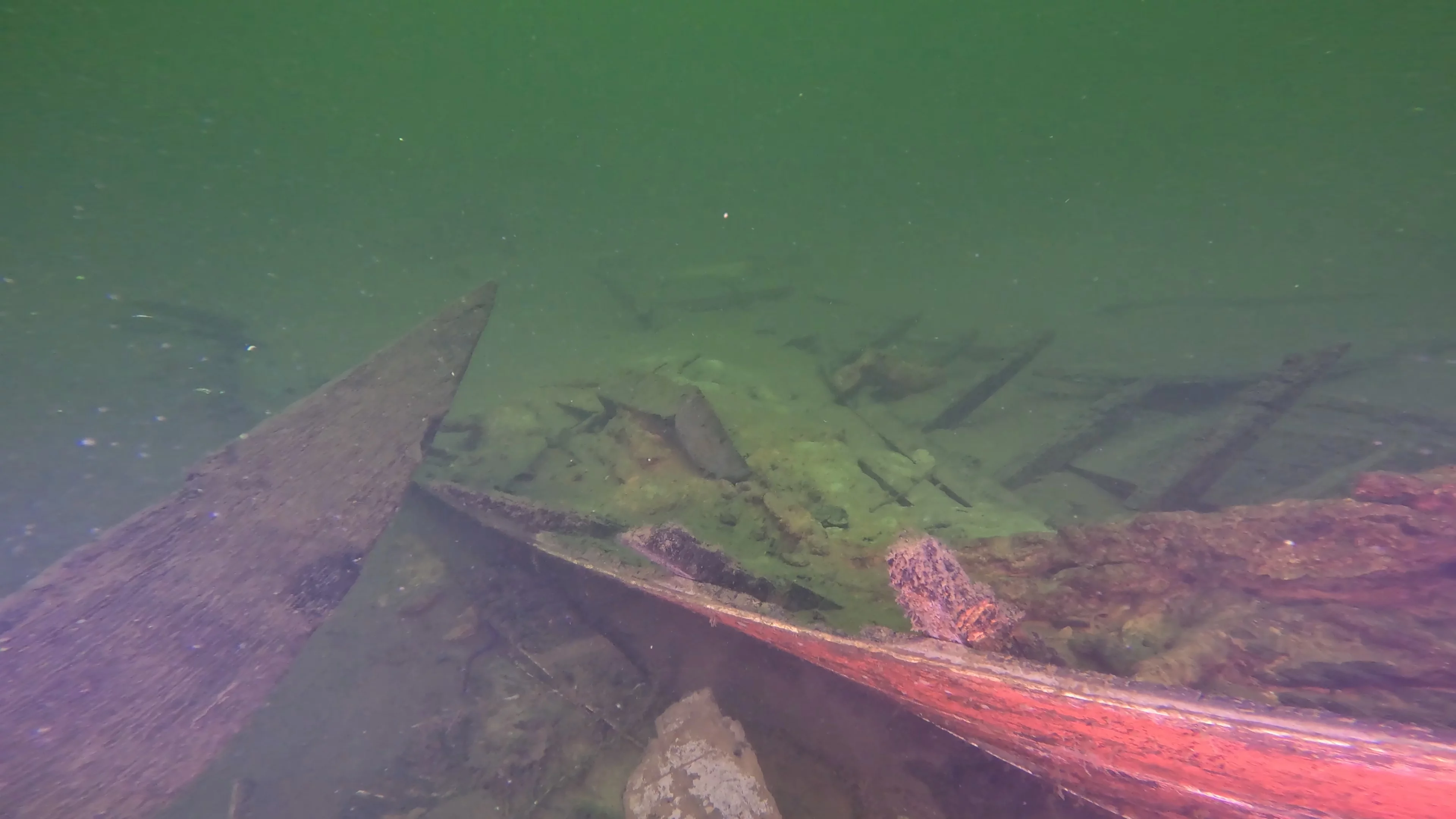 28' Collapsed Wooden Boat Wreck (LU069), Lake Union, Seattle, WA — photo 16 of 29