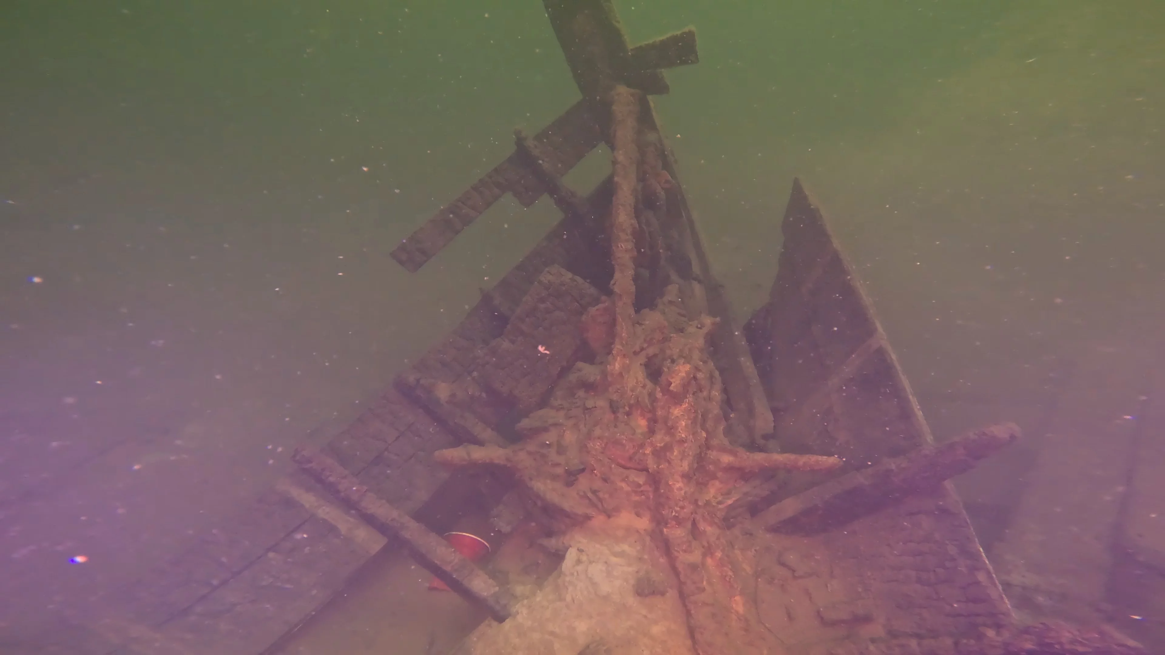 28' Collapsed Wooden Boat Wreck (LU069), Lake Union, Seattle, WA — photo 20 of 29