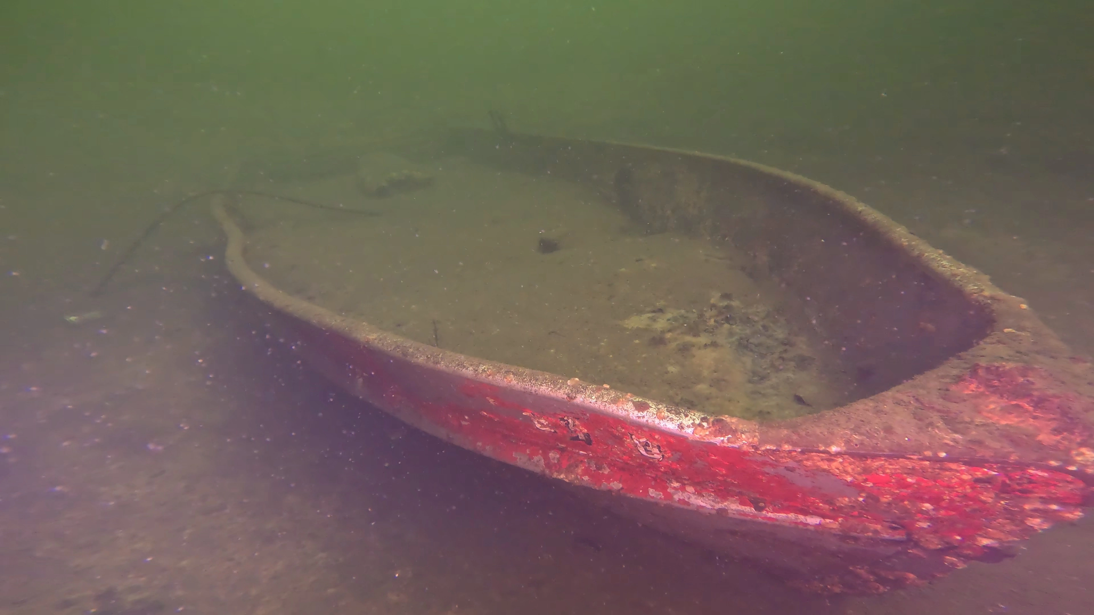 Sunken Metal Pleasure Craft (LU071), Lake Union, Seattle, WA — photo 3 of 15