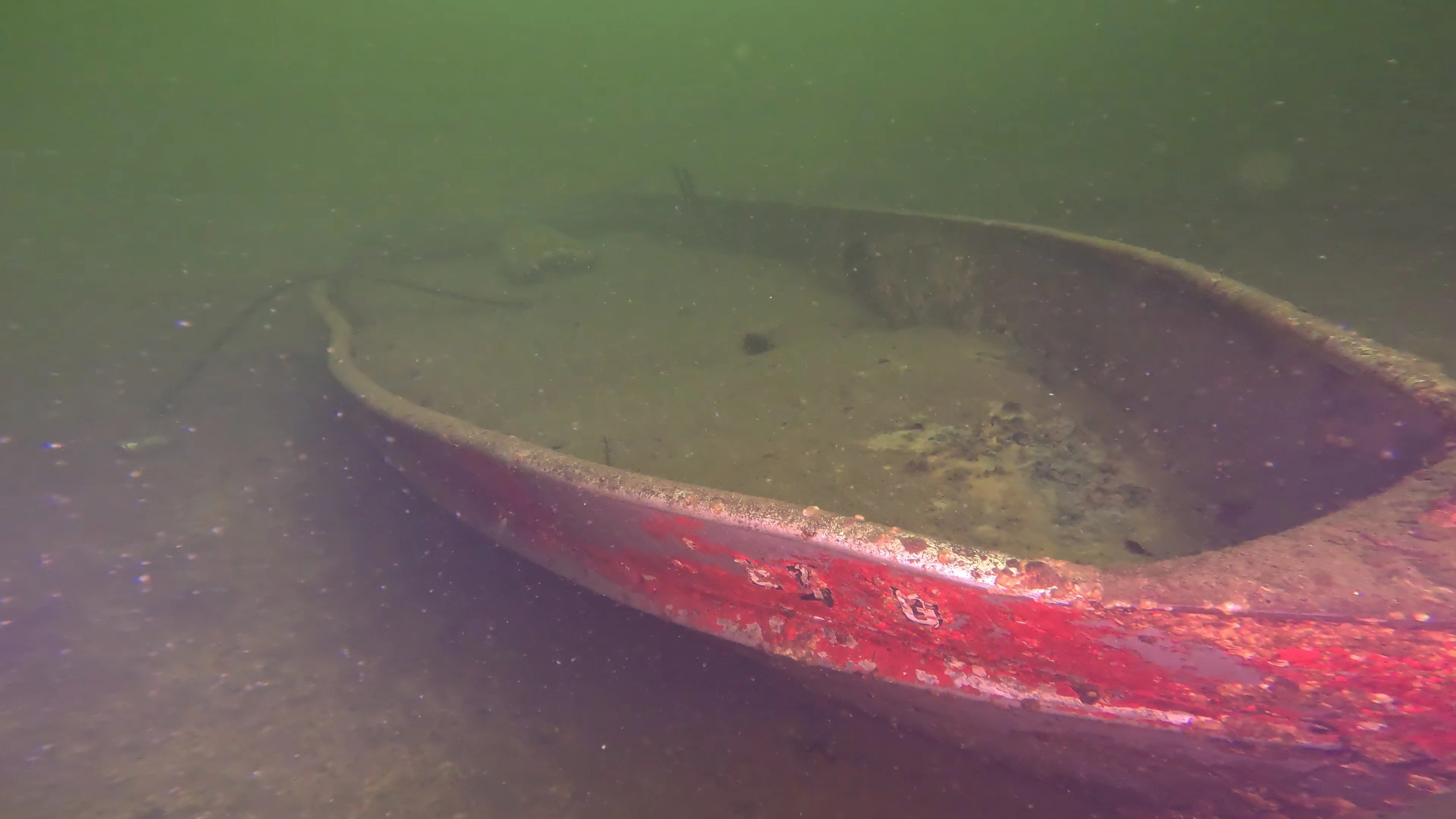 Sunken Metal Pleasure Craft (LU071), Lake Union, Seattle, WA — photo 4 of 15