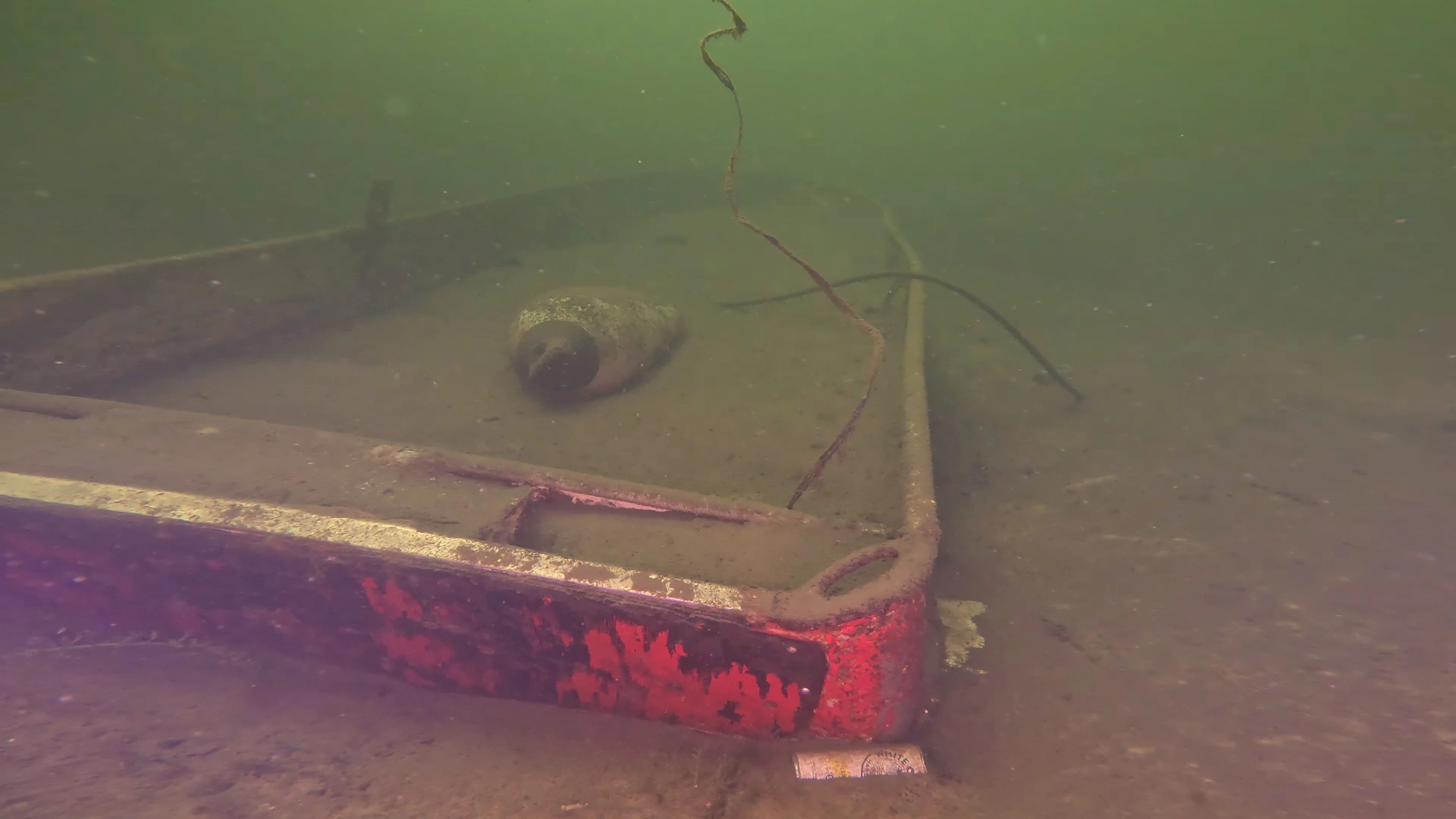 Sunken Metal Pleasure Craft (LU071), Lake Union, Seattle, WA — photo 7 of 15