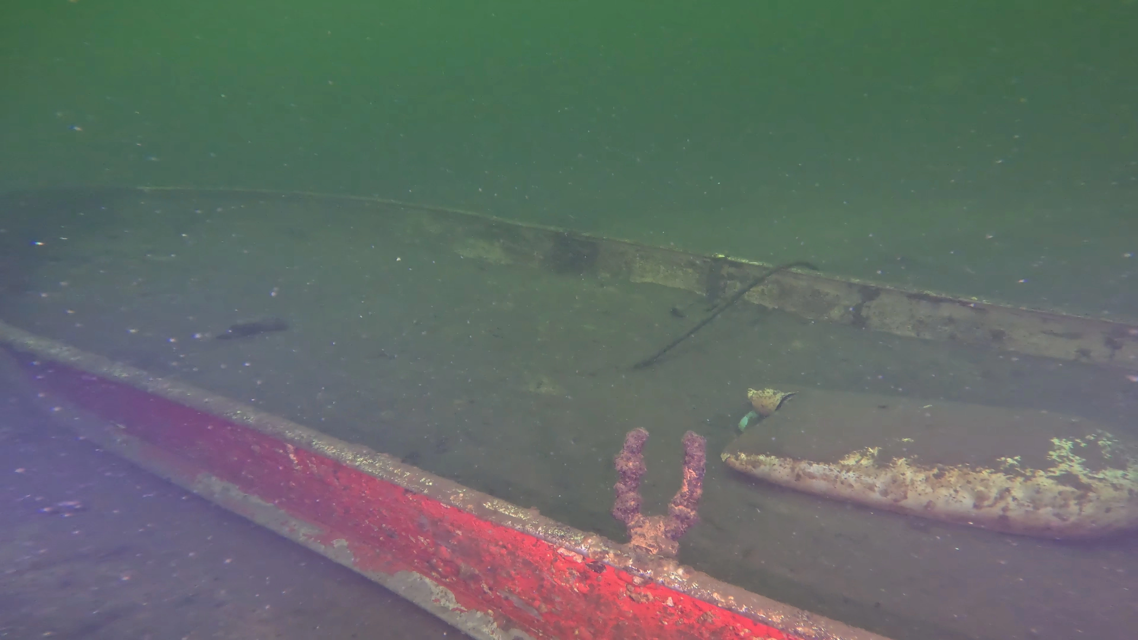 Sunken Metal Pleasure Craft (LU071), Lake Union, Seattle, WA — photo 11 of 15