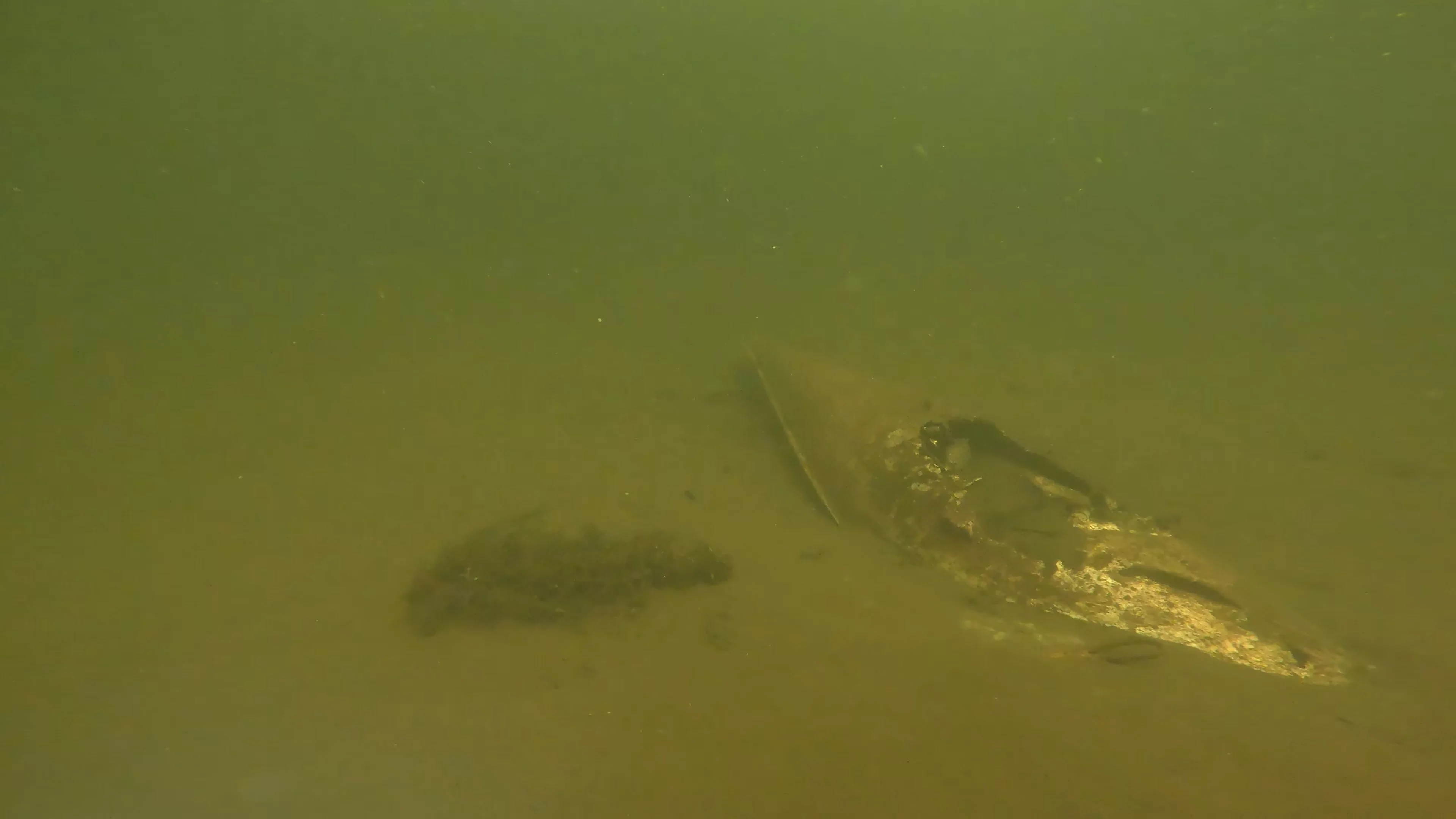 Suspected WWII Aircraft Drop Tank (LU073), Lake Union, Seattle, WA — photo 3 of 10