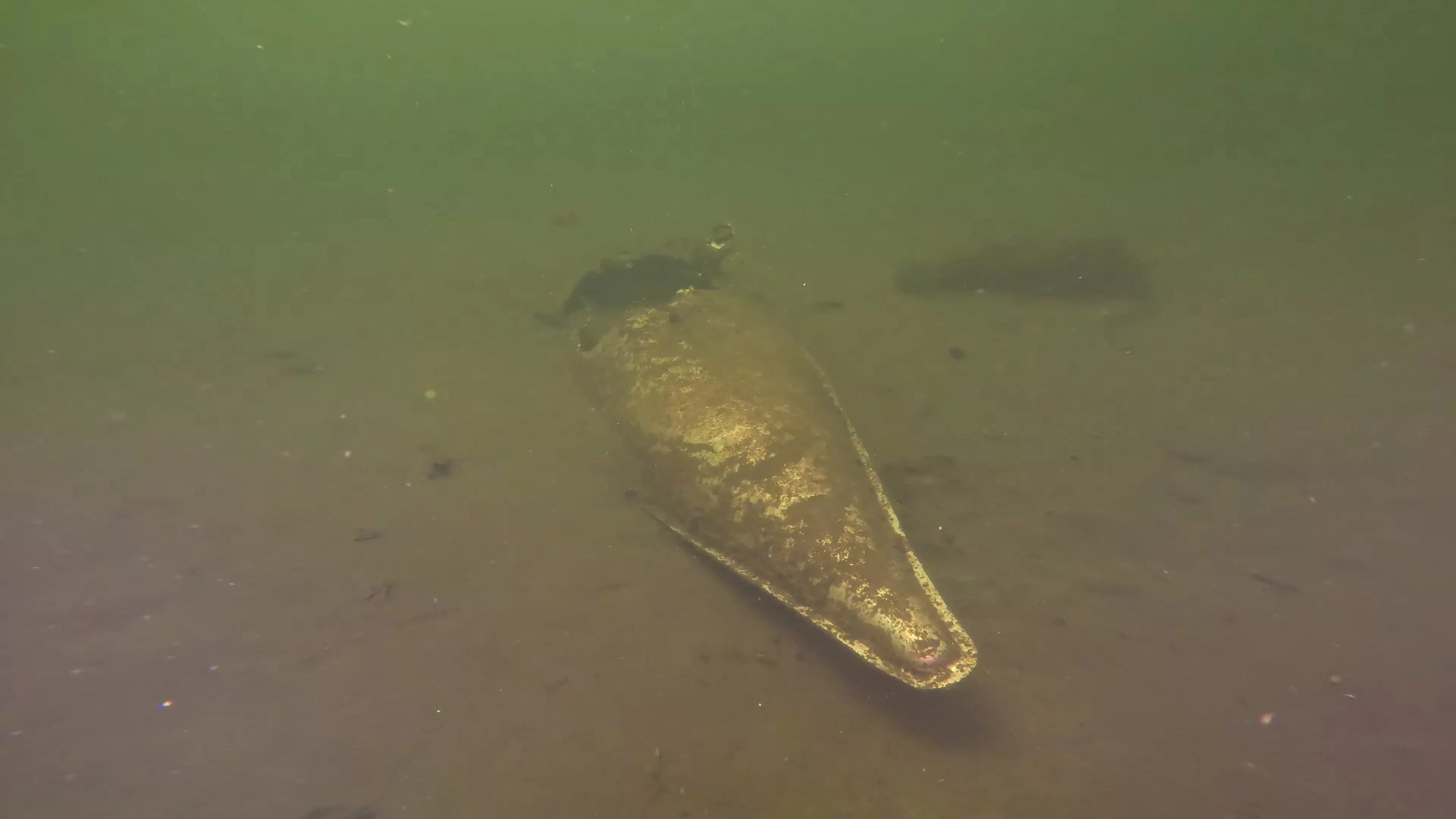Suspected WWII Aircraft Drop Tank (LU073), Lake Union, Seattle, WA — photo 4 of 10