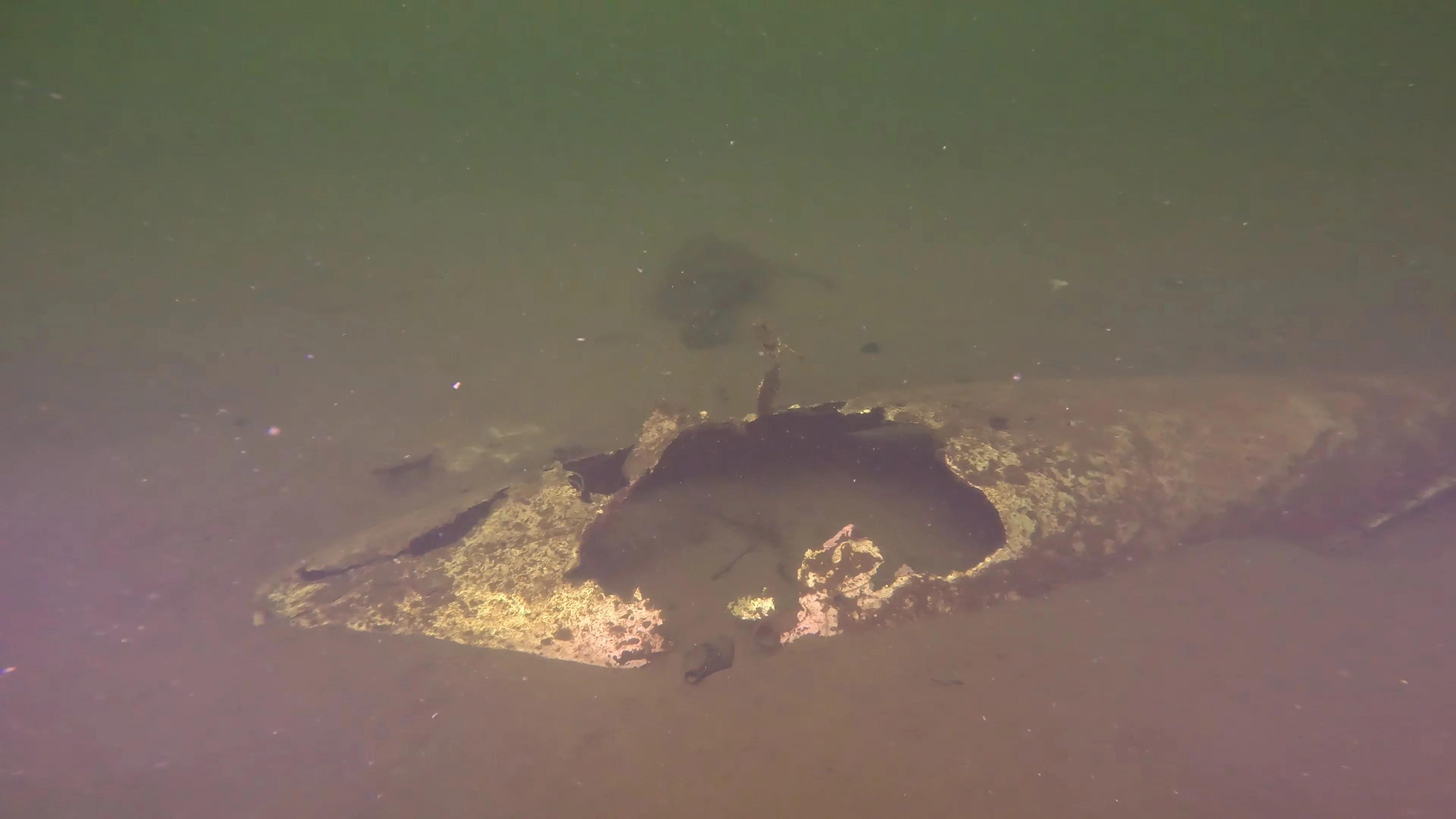 Suspected WWII Aircraft Drop Tank (LU073), Lake Union, Seattle, WA — photo 5 of 10