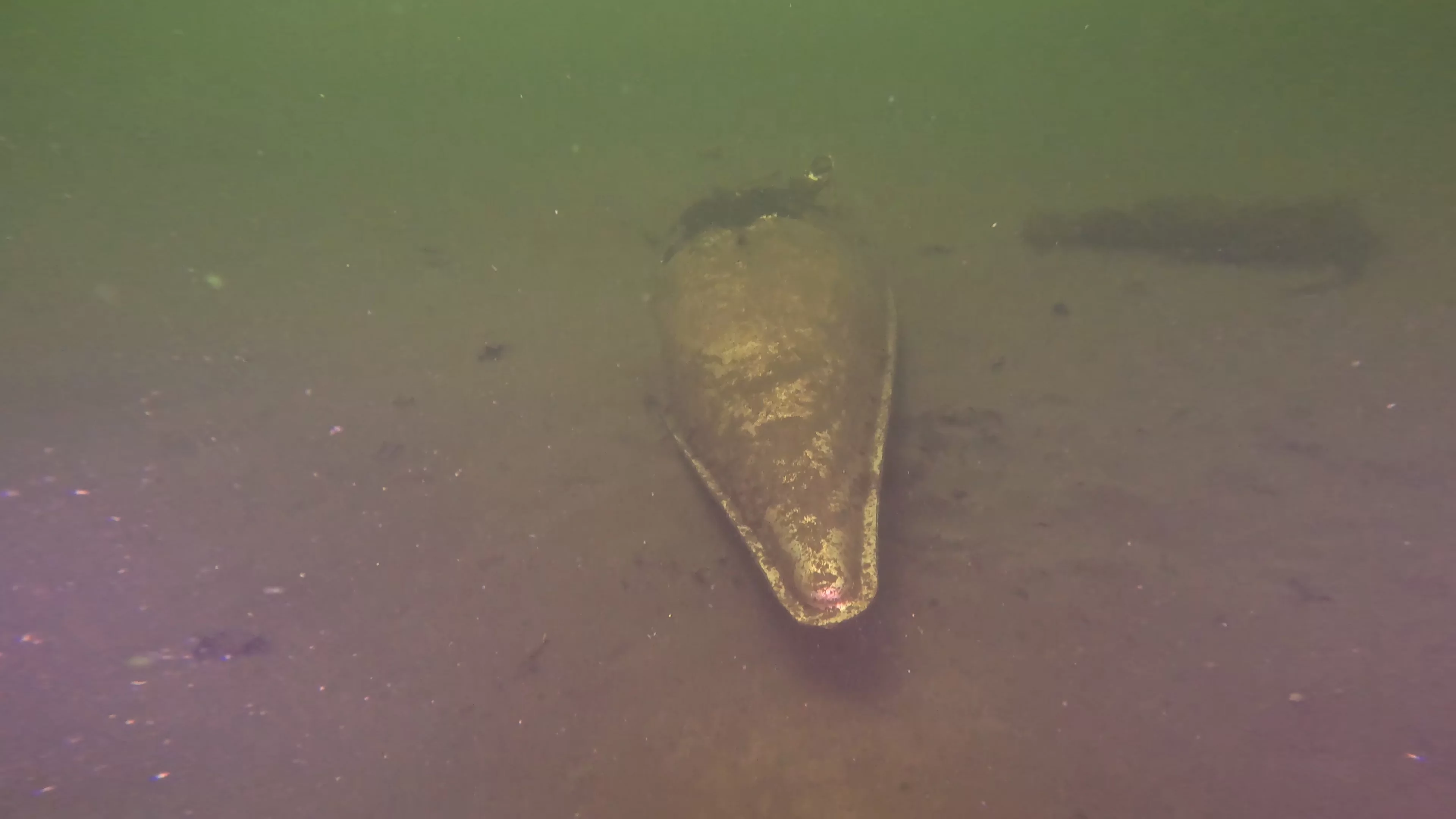 Suspected WWII Aircraft Drop Tank (LU073), Lake Union, Seattle, WA — photo 7 of 10