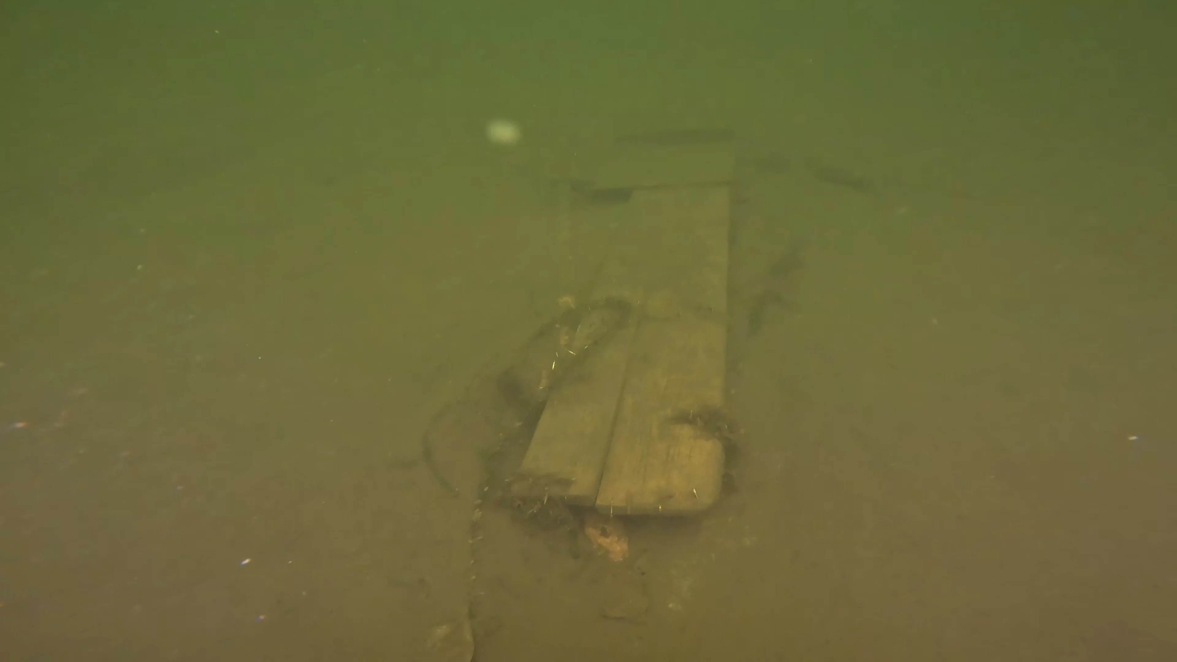 Wood Beam Debris (LU075), Lake Union, Seattle, WA — photo 4 of 7