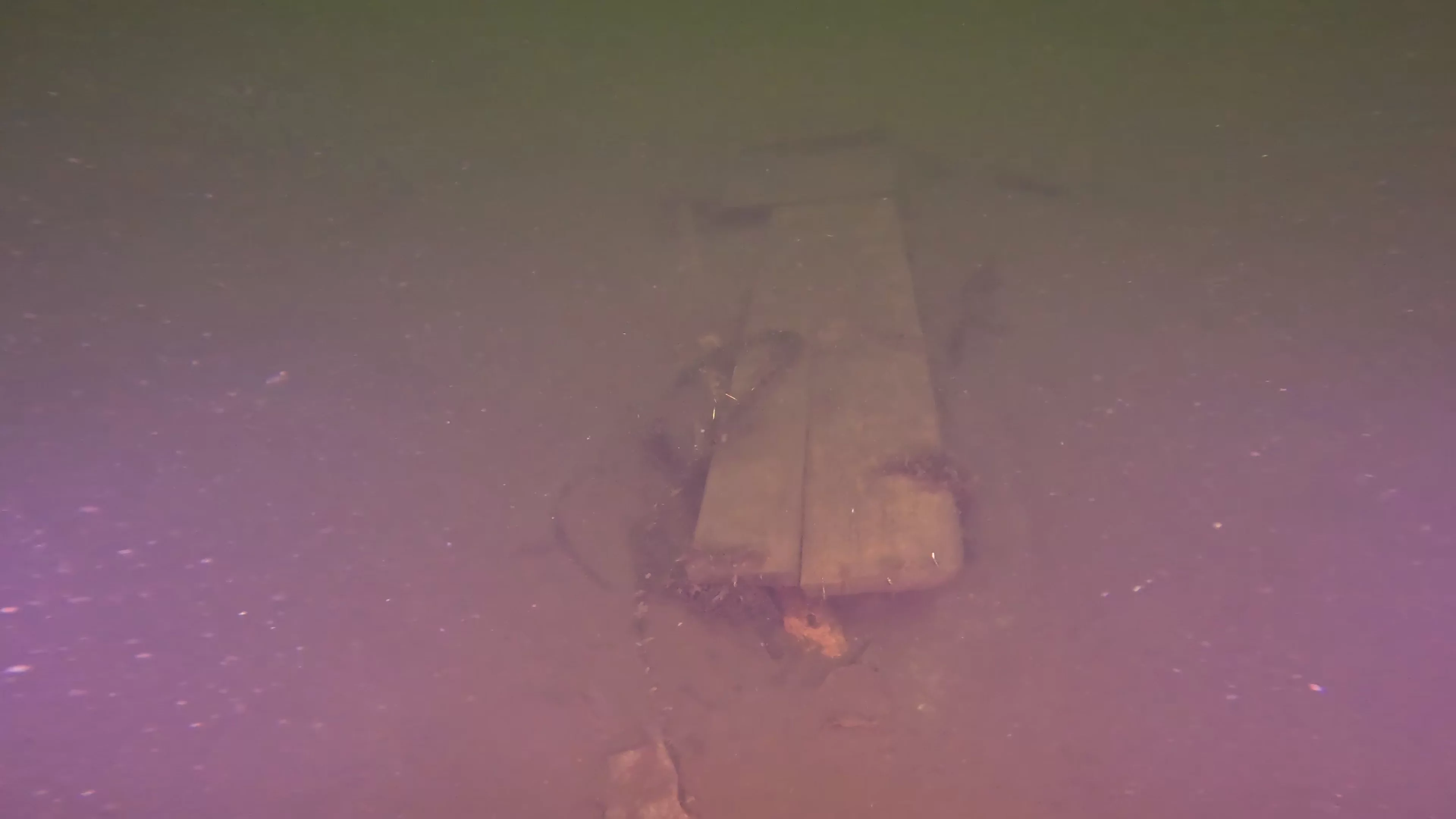 Wood Beam Debris (LU075), Lake Union, Seattle, WA — main photo