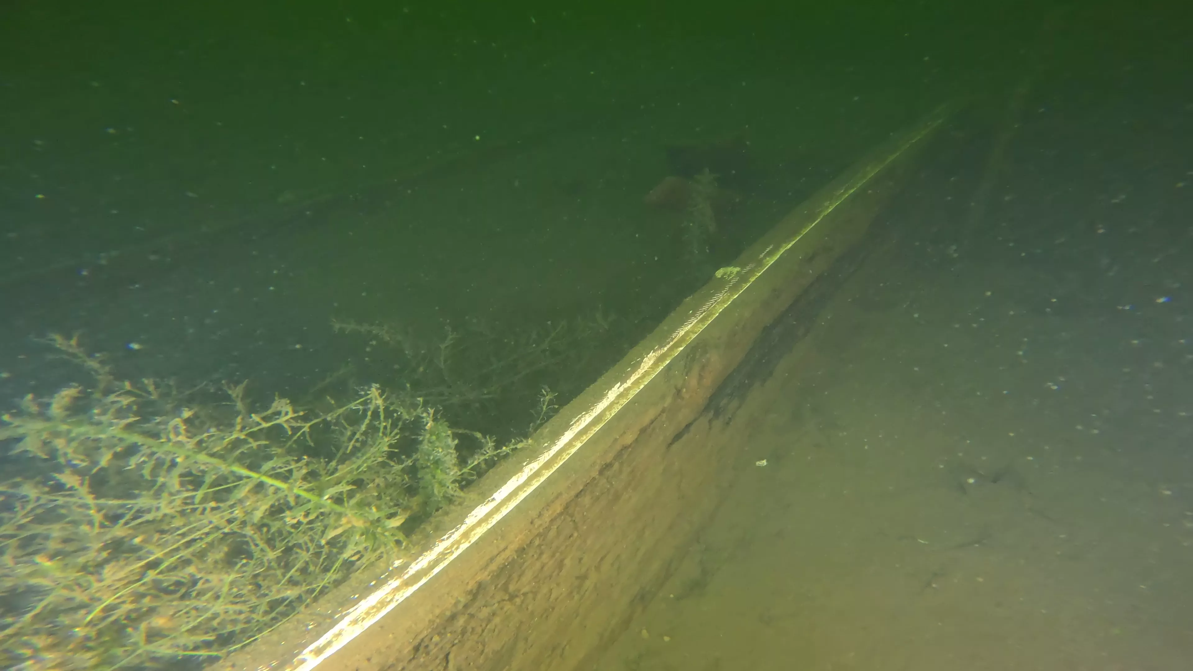 25' Wooden Boat Wreck (LU077), Lake Union, Seattle, WA — photo 1 of 6