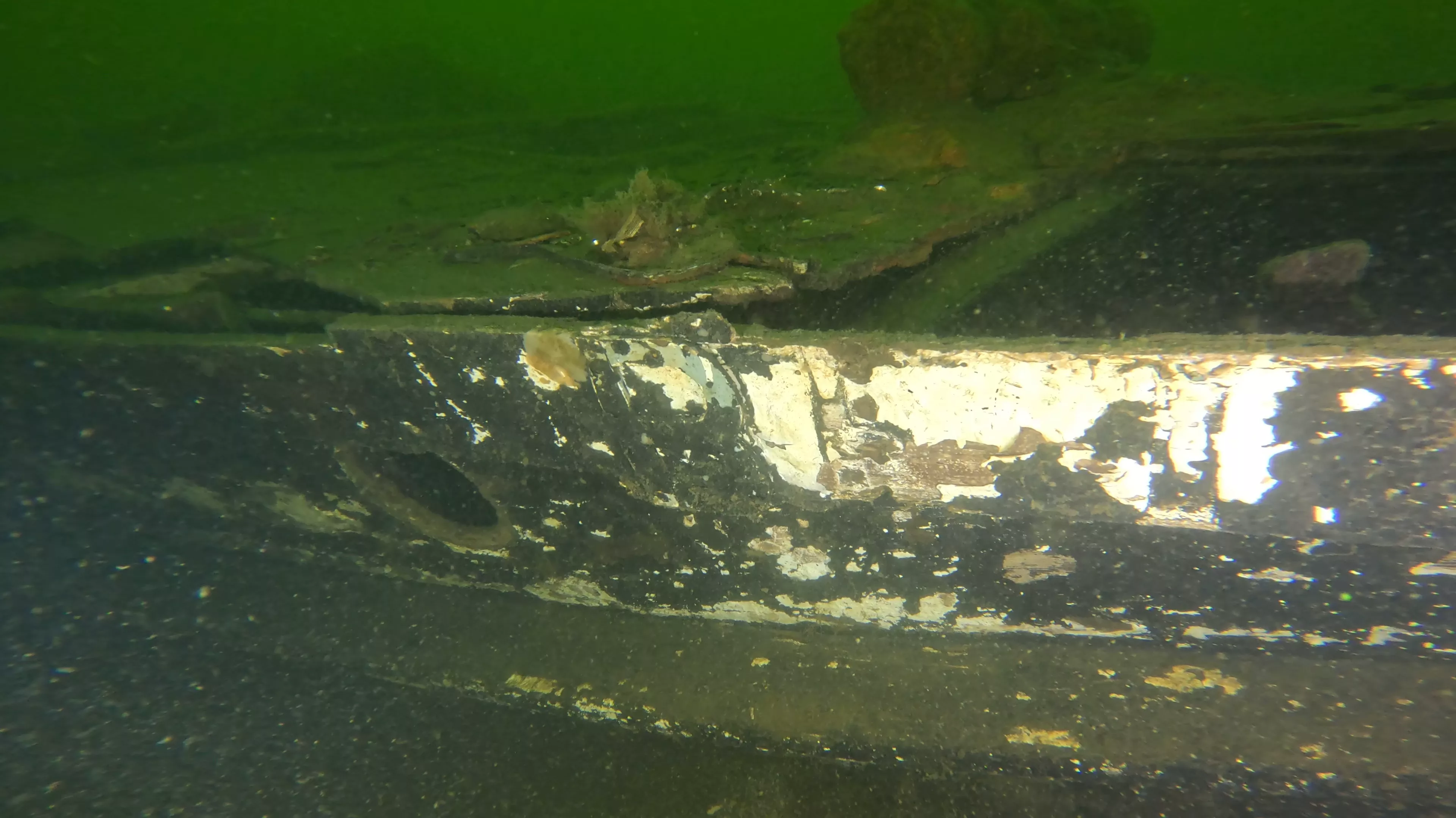 Betty W.: 35' Sailing Vessel Wreck (LU078), Lake Union, Seattle, WA — photo 18 of 24
