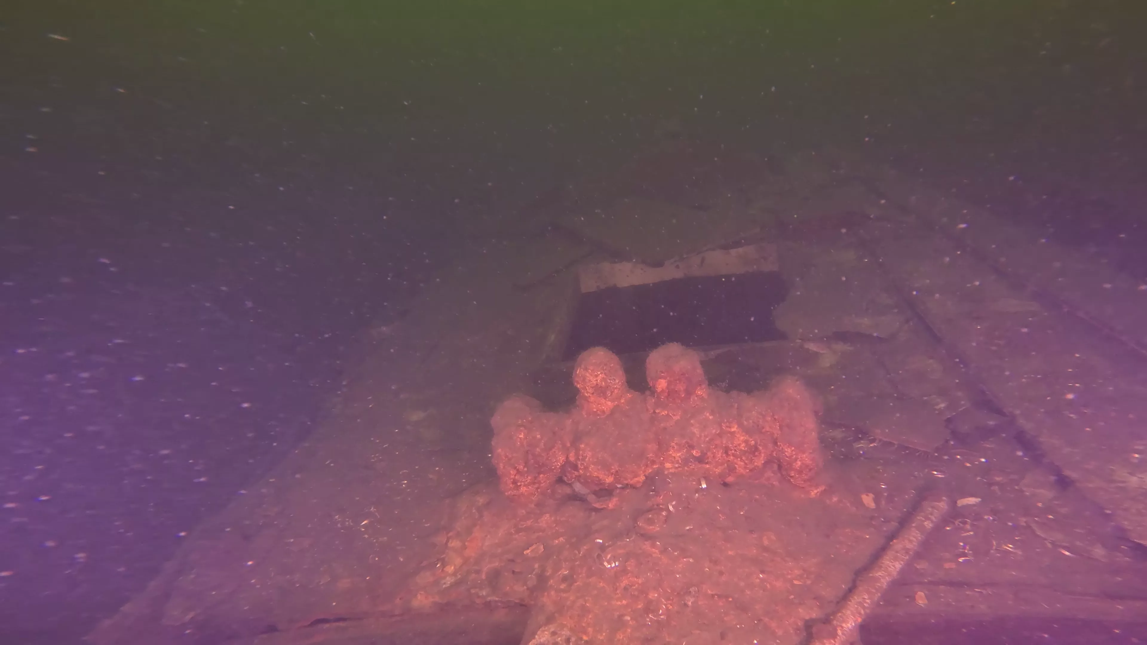 Betty W.: 35' Sailing Vessel Wreck (LU078), Lake Union, Seattle, WA — photo 21 of 24