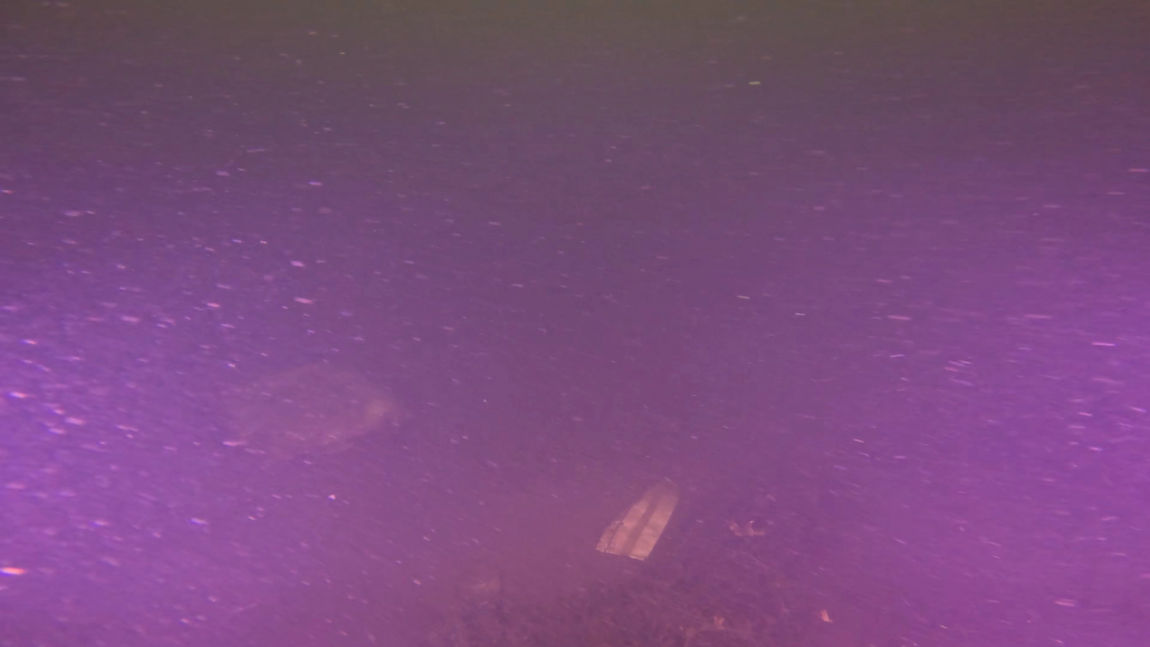 Unknown Debris Field (LU079), Lake Union, Seattle, WA — photo 1 of 6