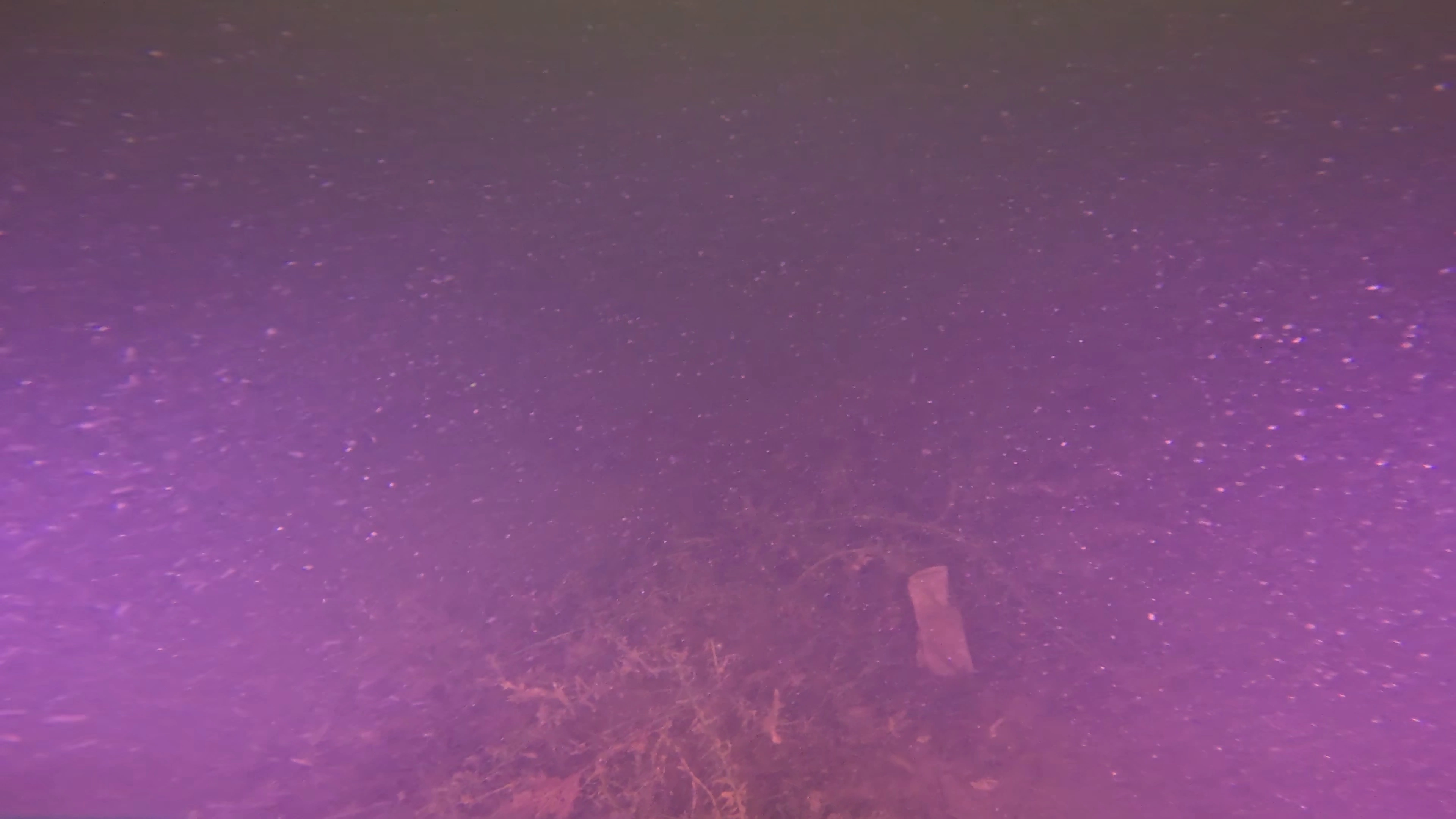 Unknown Debris Field (LU079), Lake Union, Seattle, WA — photo 2 of 6