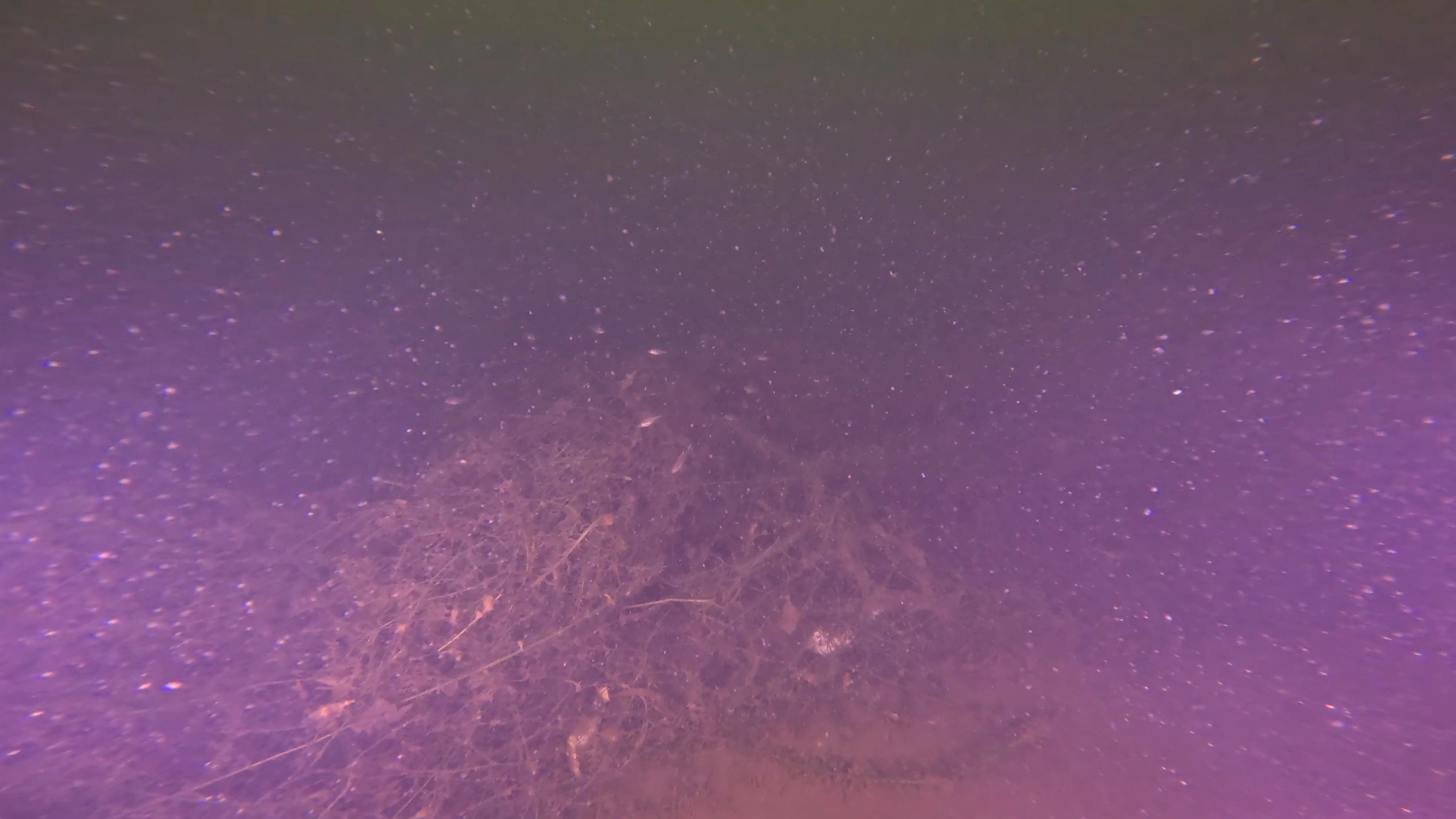 Unknown Debris Field (LU079), Lake Union, Seattle, WA — photo 3 of 6