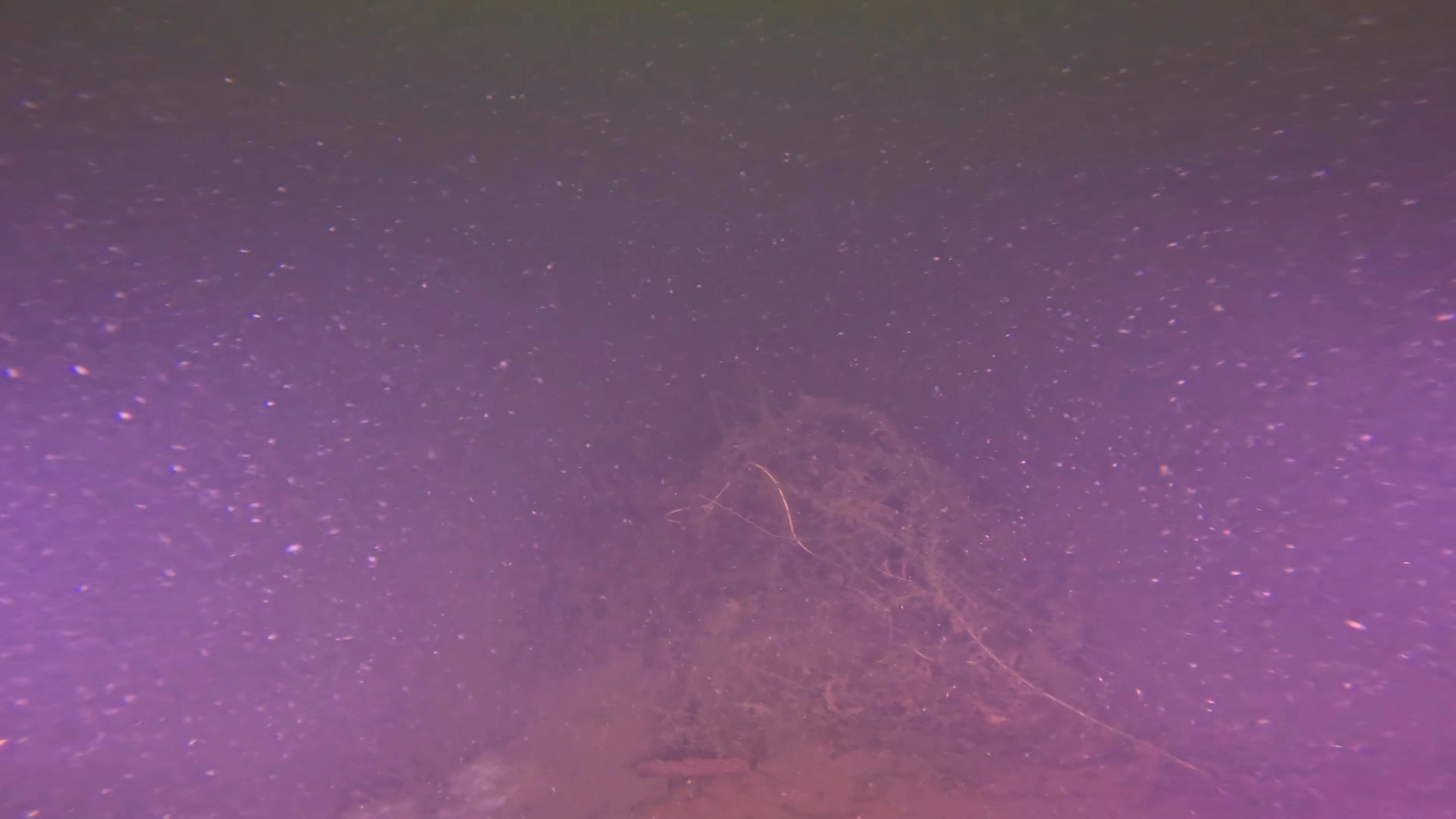 Unknown Debris Field (LU079), Lake Union, Seattle, WA — photo 4 of 6