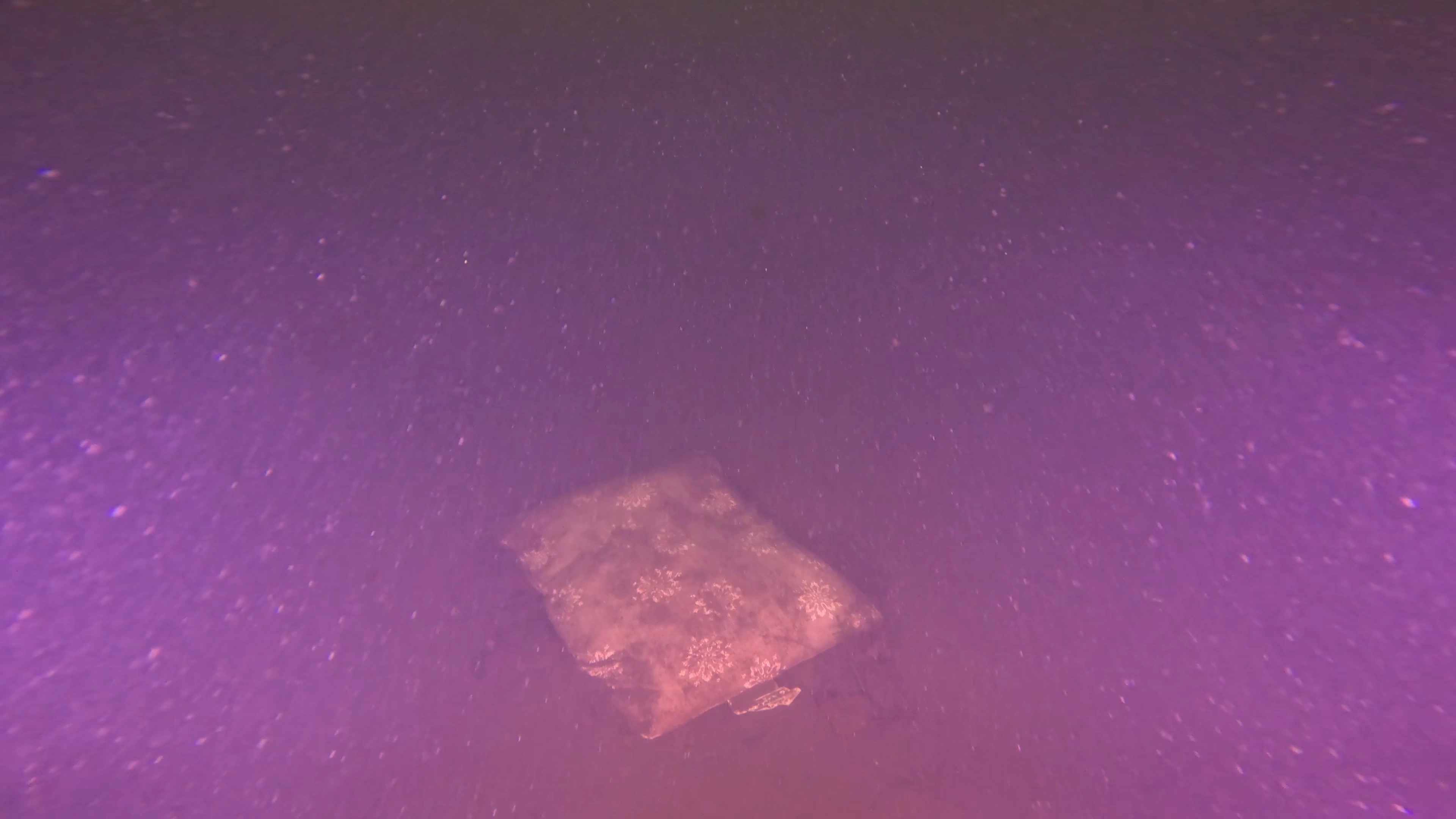 Unknown Debris Field (LU079), Lake Union, Seattle, WA — photo 5 of 6