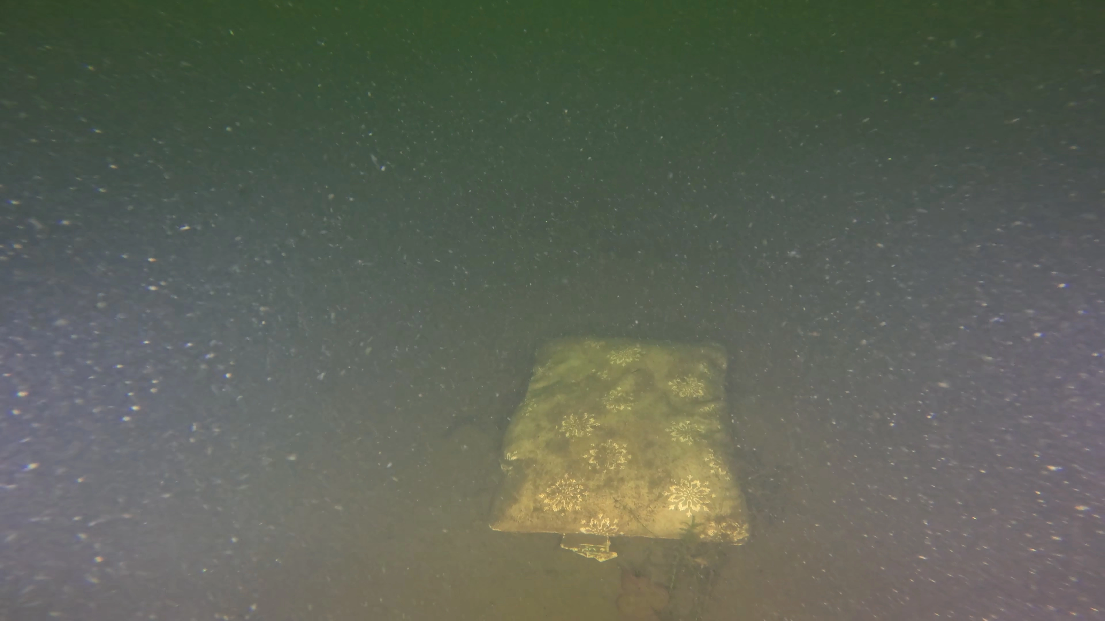 Unknown Debris Field (LU079), Lake Union, Seattle, WA — photo 6 of 6