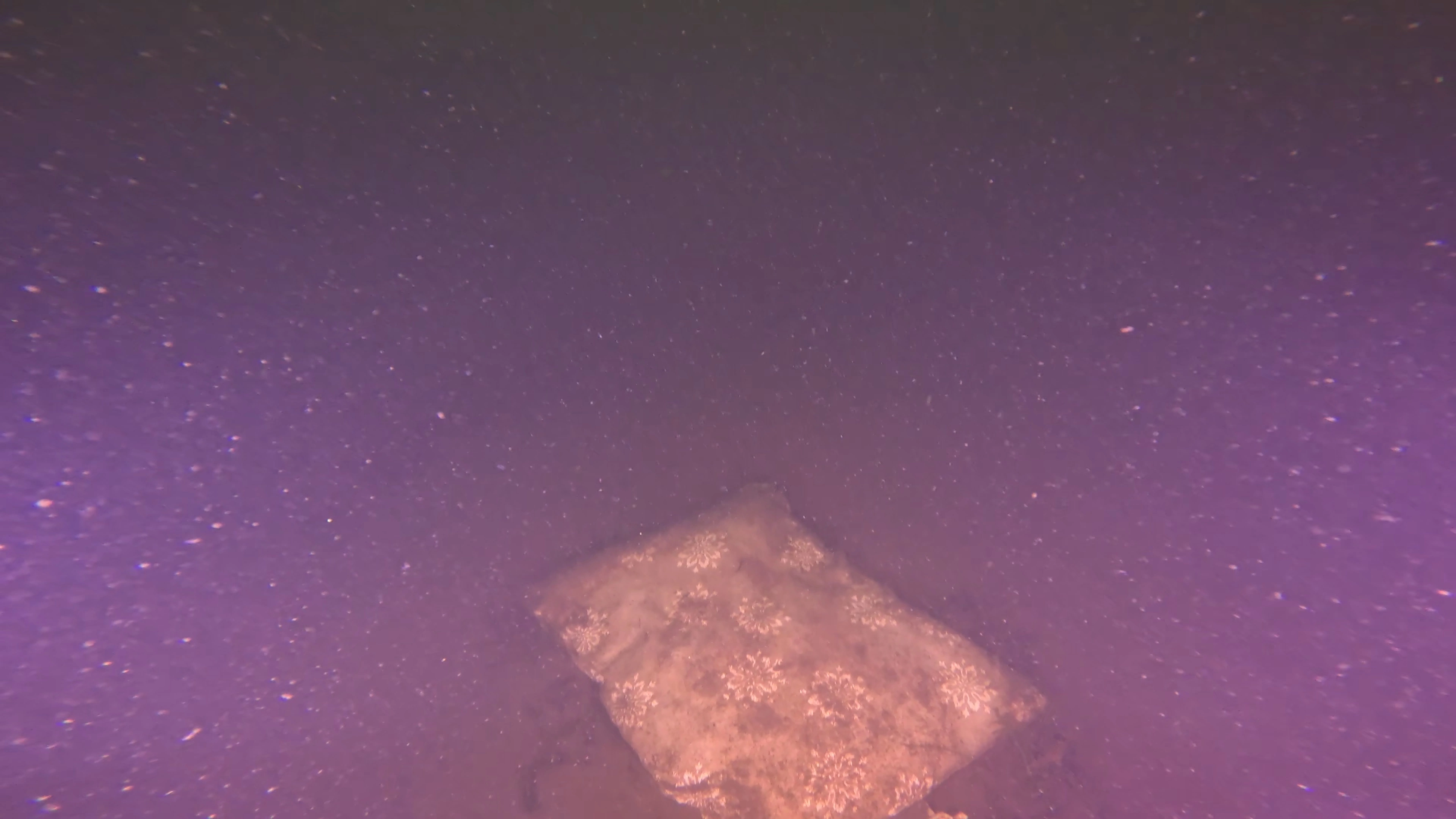 Unknown Debris Field (LU079), Lake Union, Seattle, WA — main photo