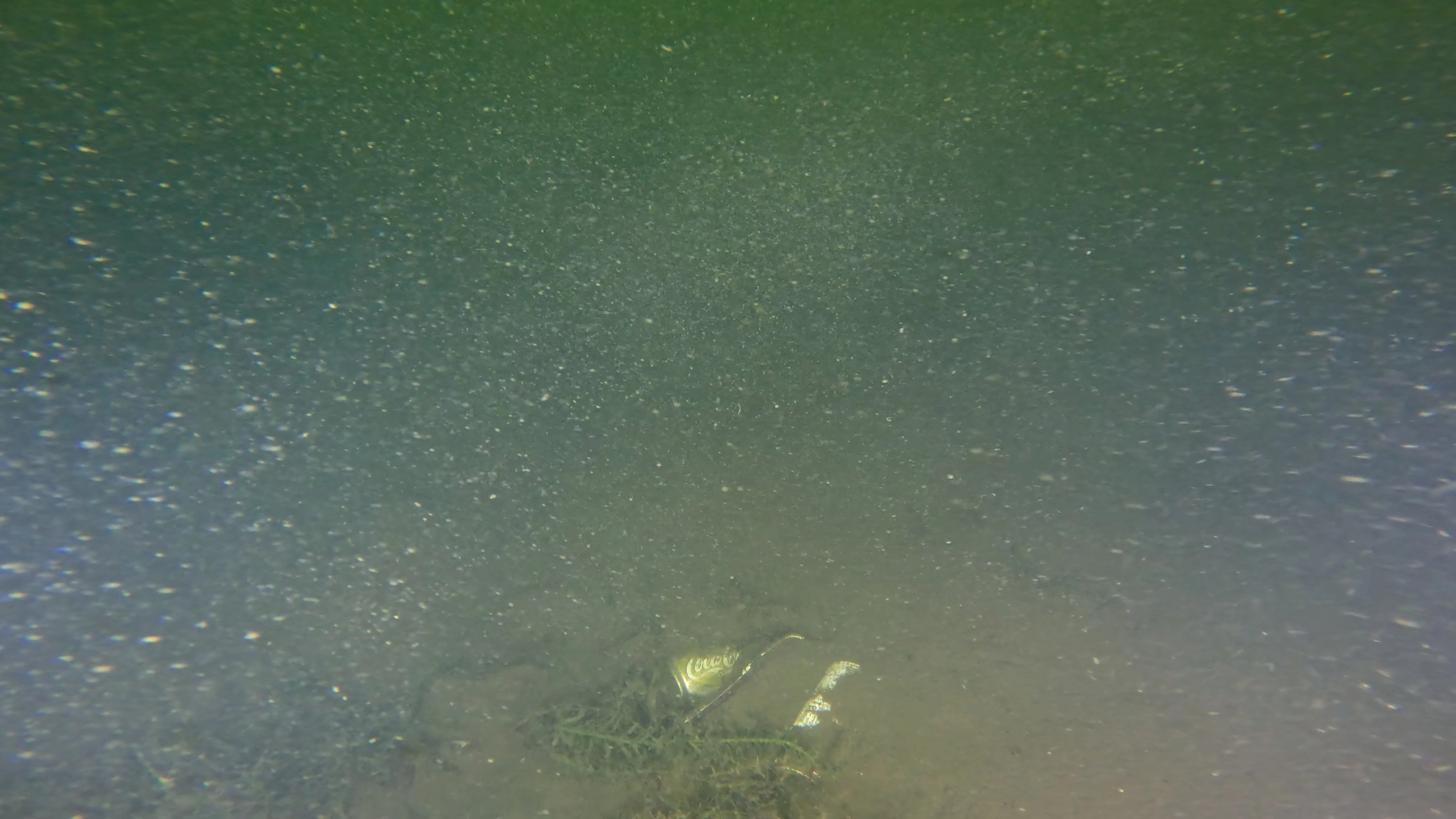 Scattered Lakebed Debris (LU080), Lake Union, Seattle, WA — photo 1 of 9