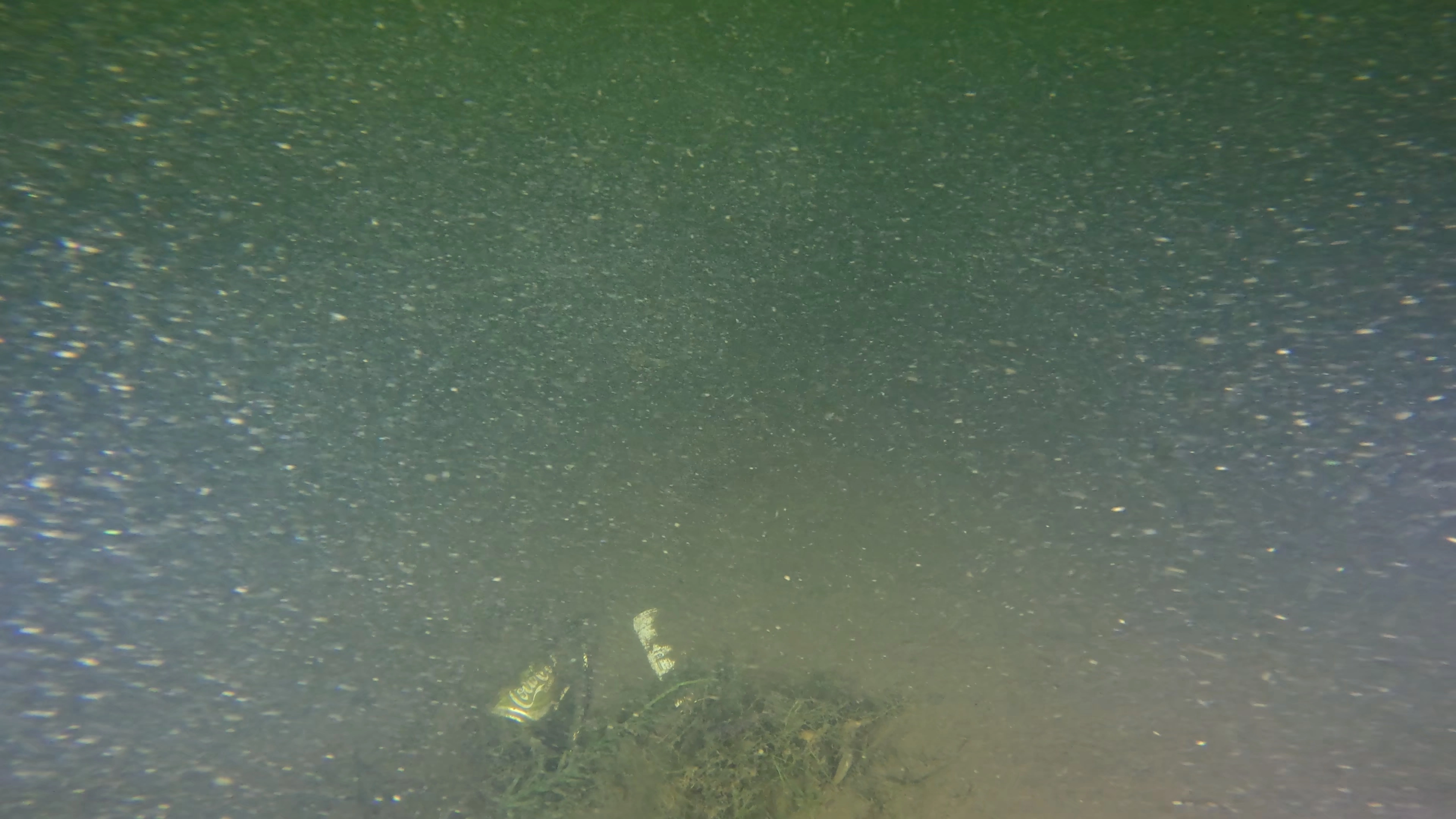 Scattered Lakebed Debris (LU080), Lake Union, Seattle, WA — photo 2 of 9