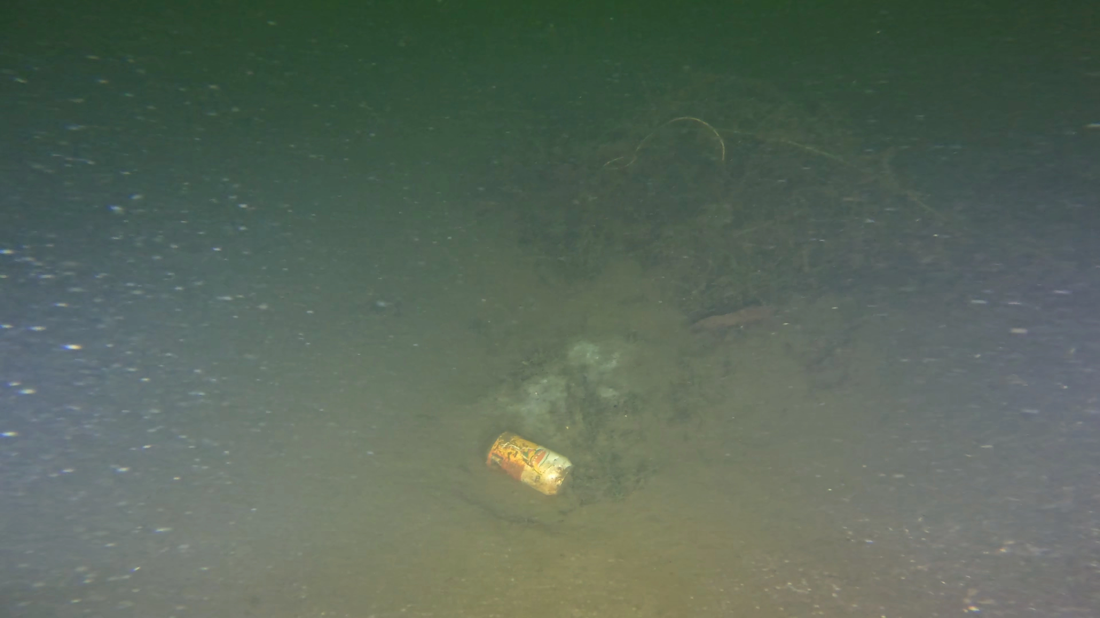 Scattered Lakebed Debris (LU080), Lake Union, Seattle, WA — photo 3 of 9