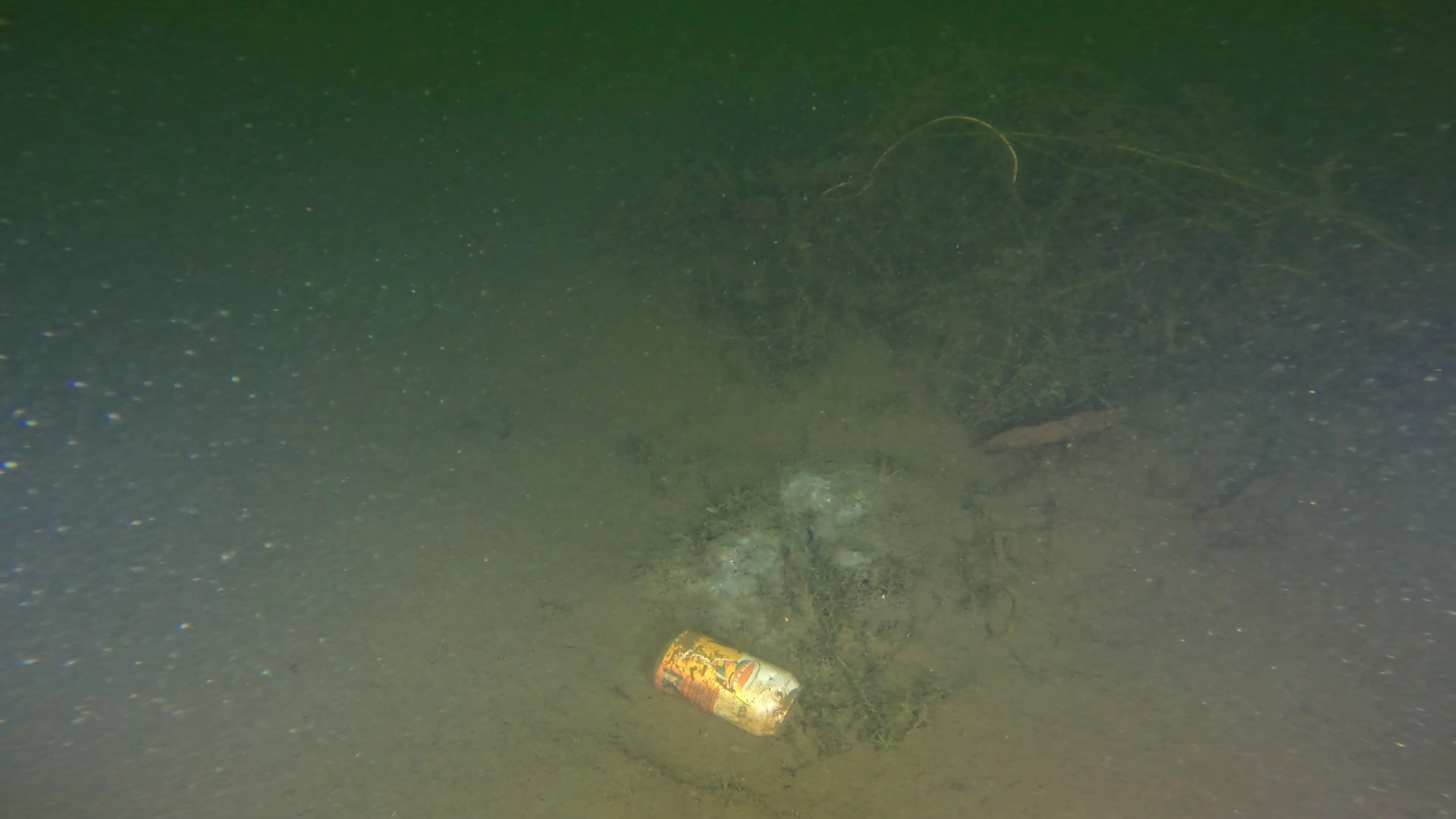 Scattered Lakebed Debris (LU080), Lake Union, Seattle, WA — main photo