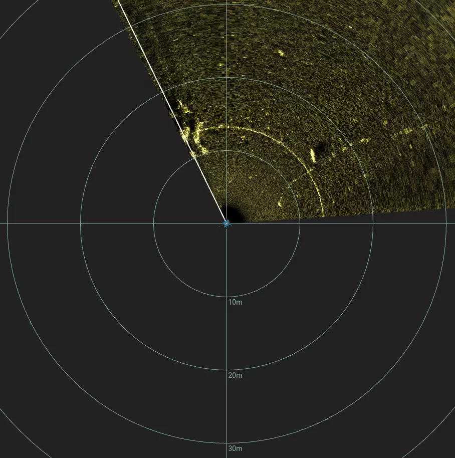 Scattered Lakebed Debris (LU080), Lake Union, Seattle, WA — side-scan sonar image 1 of 2