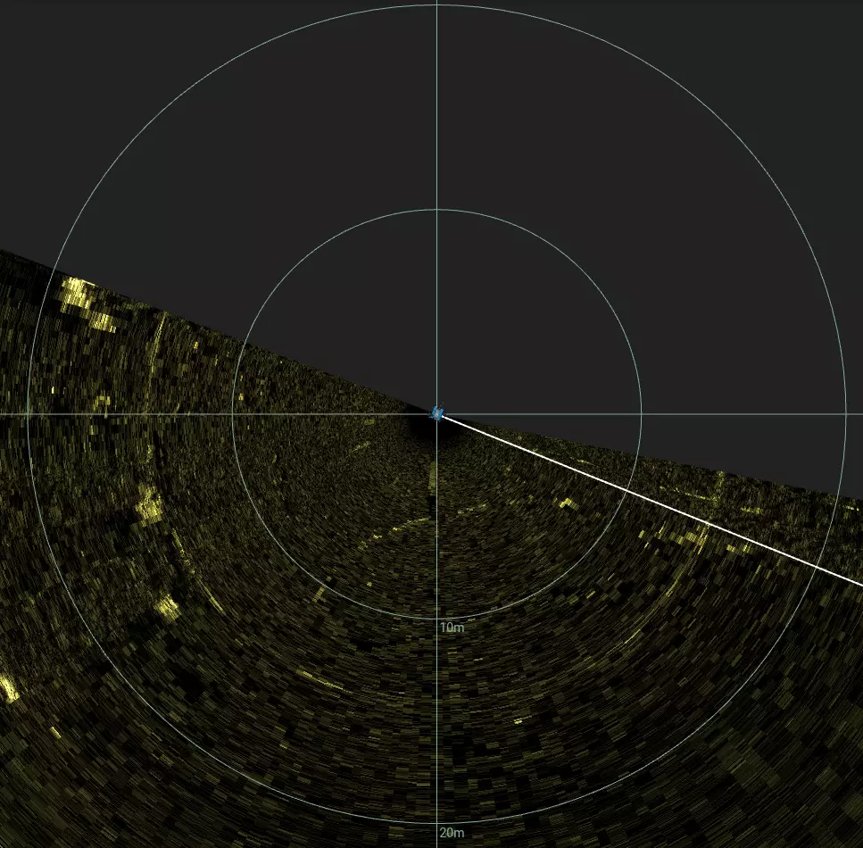 Scattered Lakebed Debris (LU080), Lake Union, Seattle, WA — side-scan sonar image 2 of 2