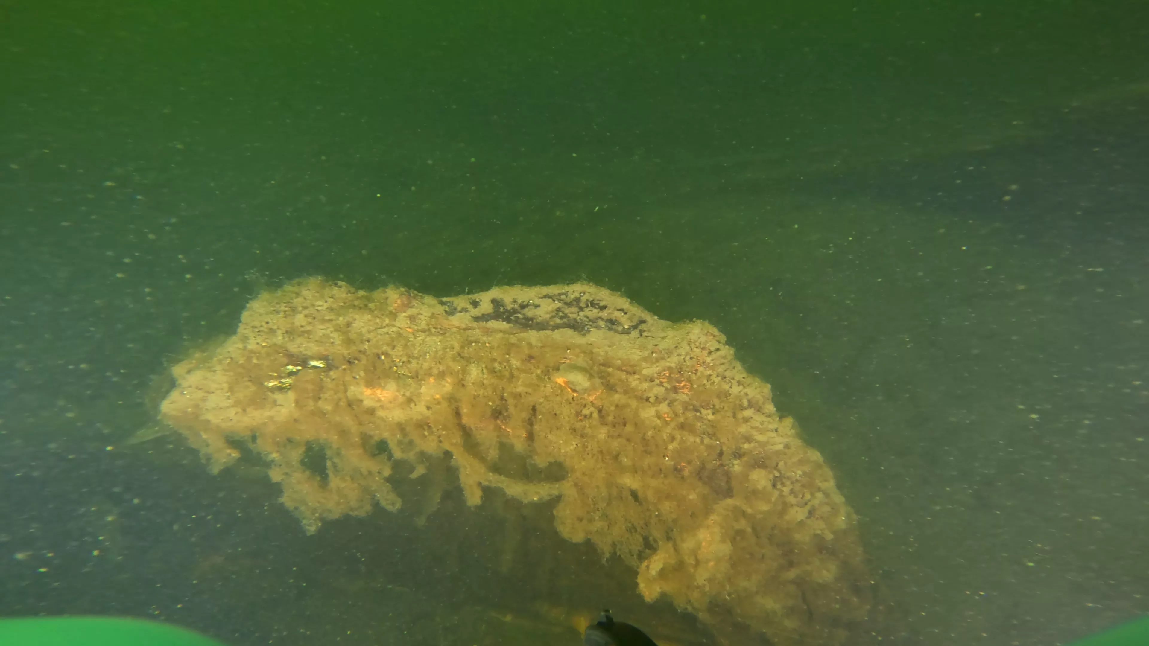 Sunken Metal Boat & Dock Debris (LU081), Lake Union, Seattle, WA — photo 1 of 19