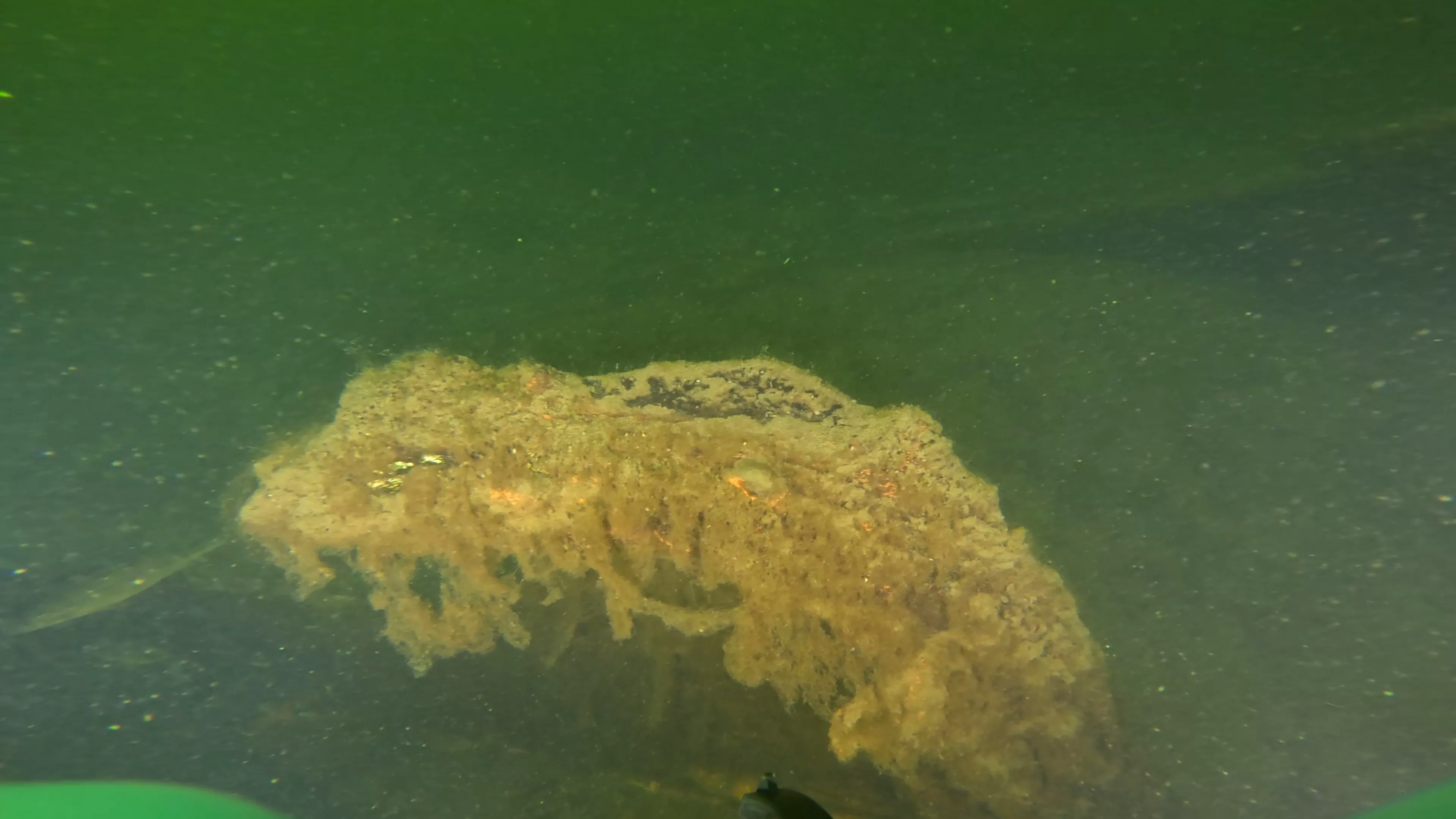 Sunken Metal Boat & Dock Debris (LU081), Lake Union, Seattle, WA — photo 2 of 19