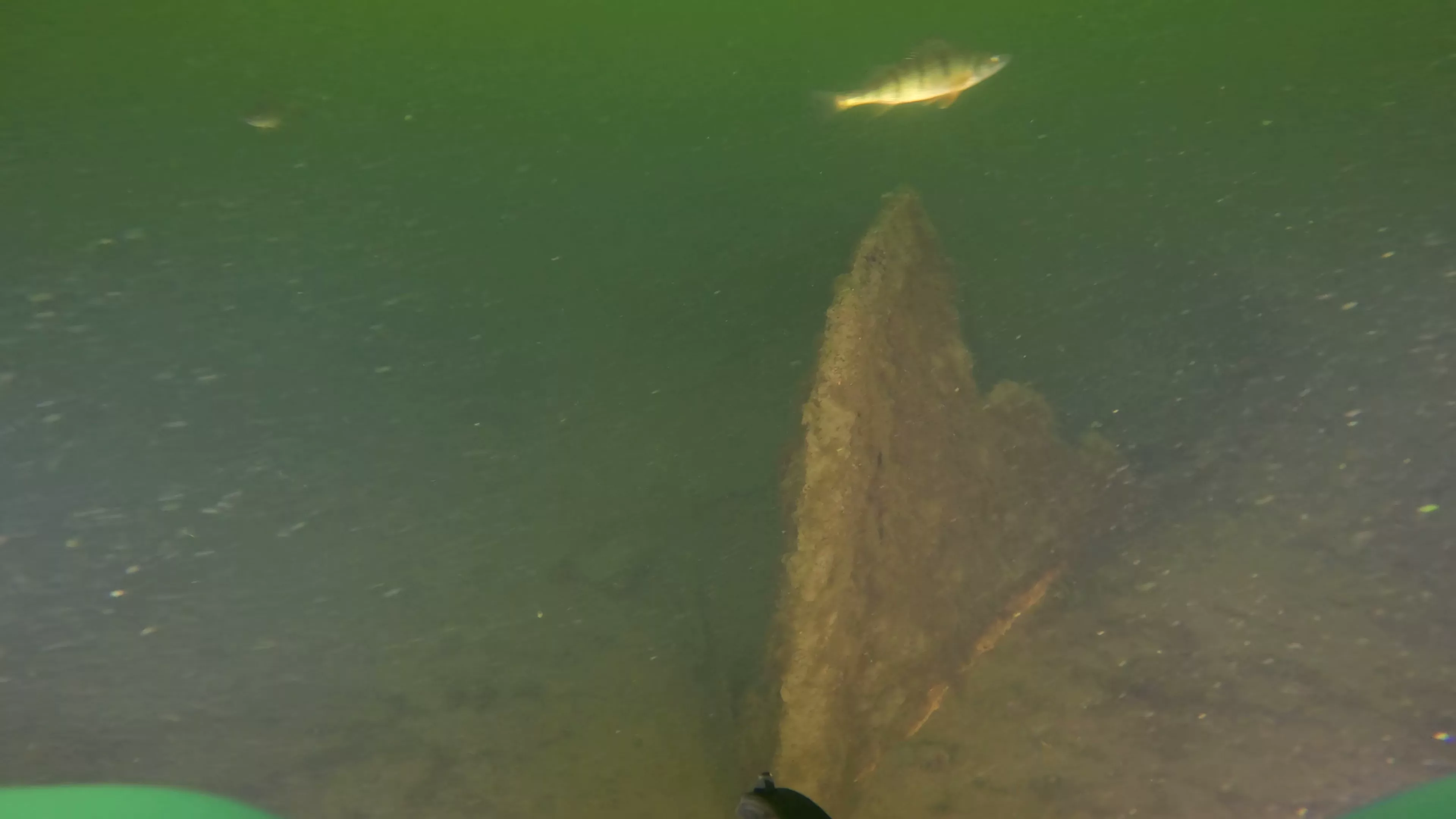 Sunken Metal Boat & Dock Debris (LU081), Lake Union, Seattle, WA — photo 3 of 19