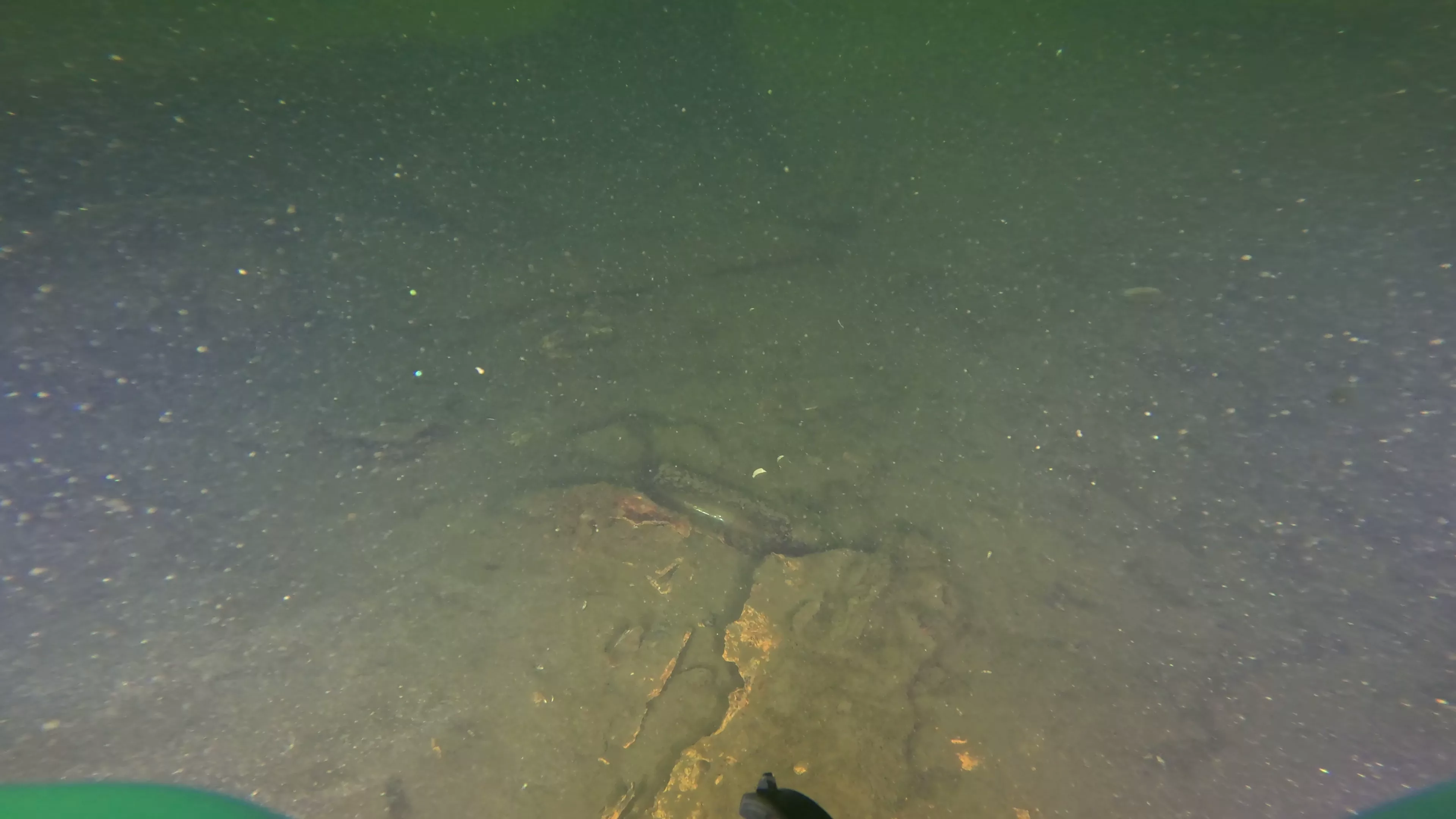 Sunken Metal Boat & Dock Debris (LU081), Lake Union, Seattle, WA — photo 8 of 19