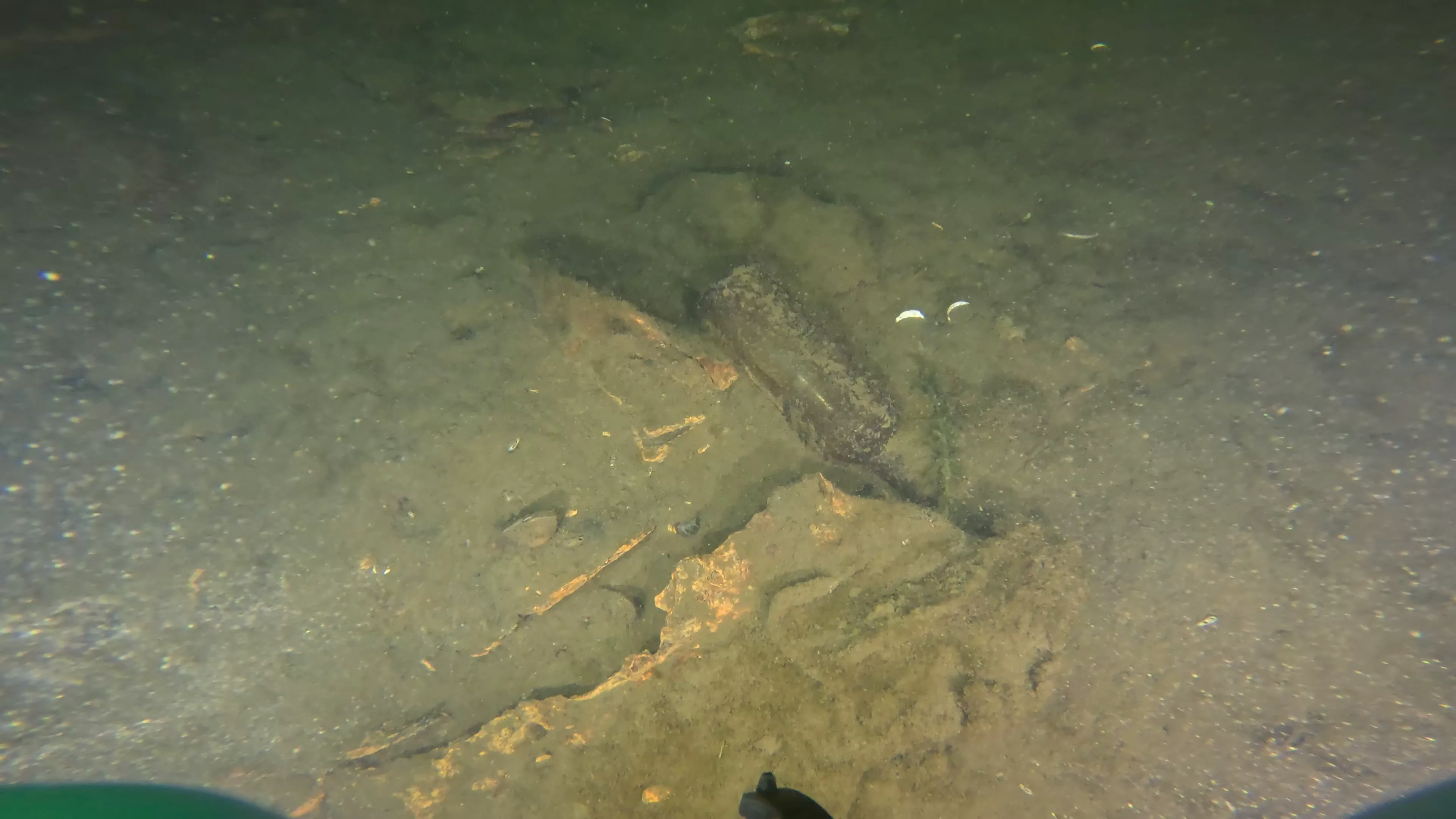 Sunken Metal Boat & Dock Debris (LU081), Lake Union, Seattle, WA — photo 9 of 19